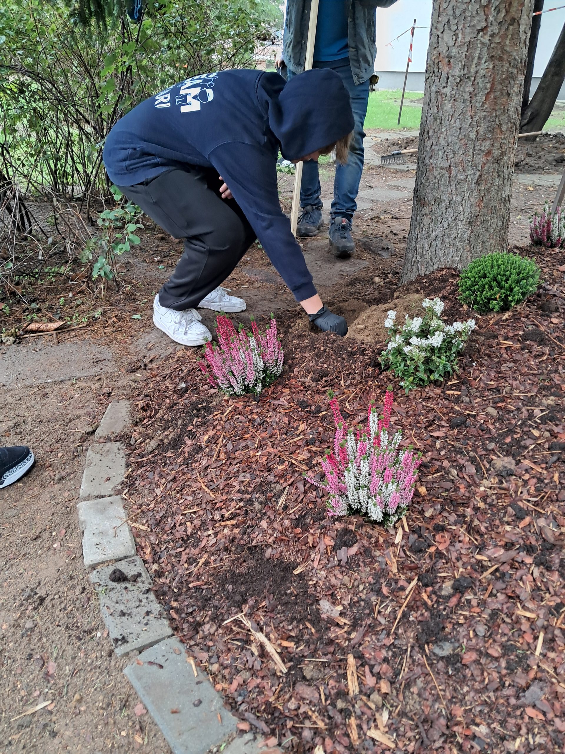 Klasa 7b aktywnie włączyła się w akcję Krokus.