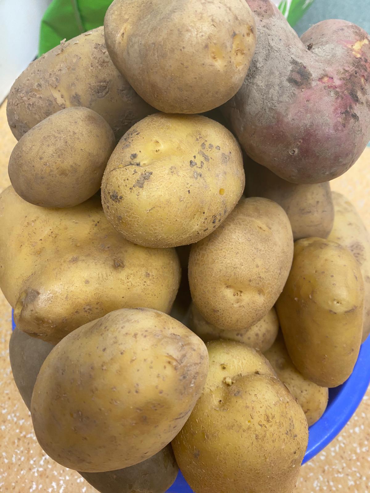 Dzień Ziemniaka w klasach 1a i 1b