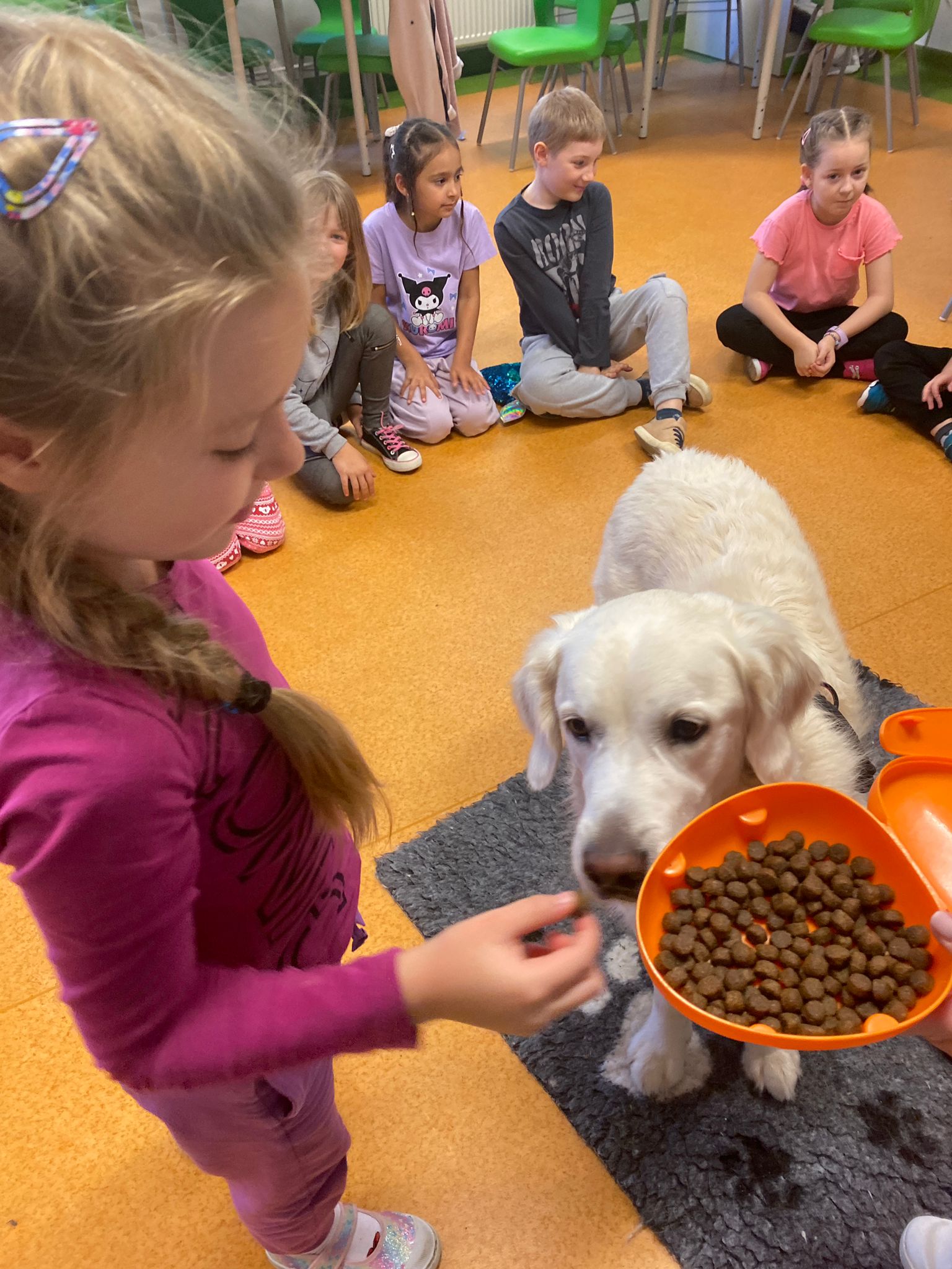 Zajęcia dogoterapii w klasach pierwszych.