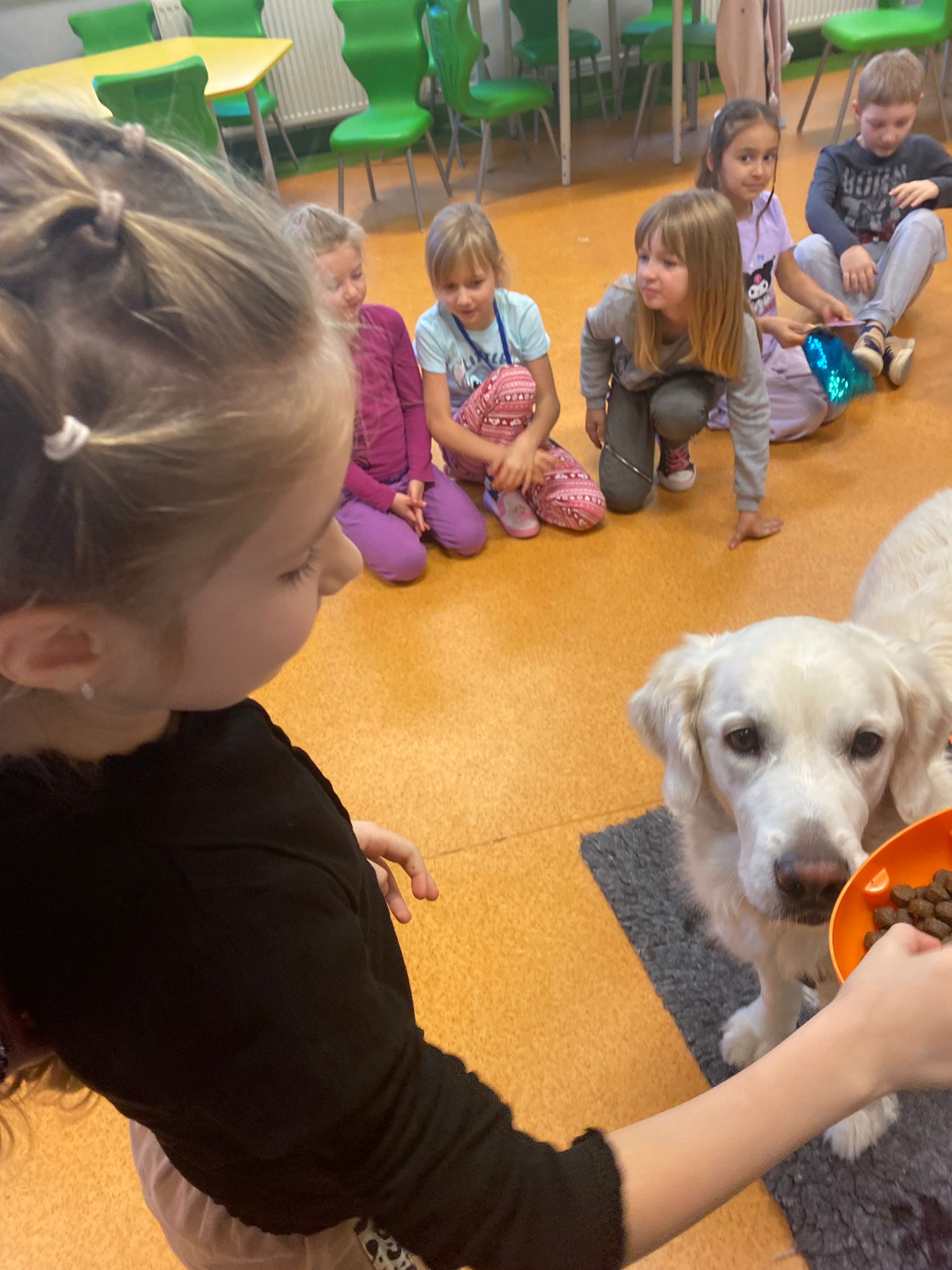 Zajęcia dogoterapii w klasach pierwszych.