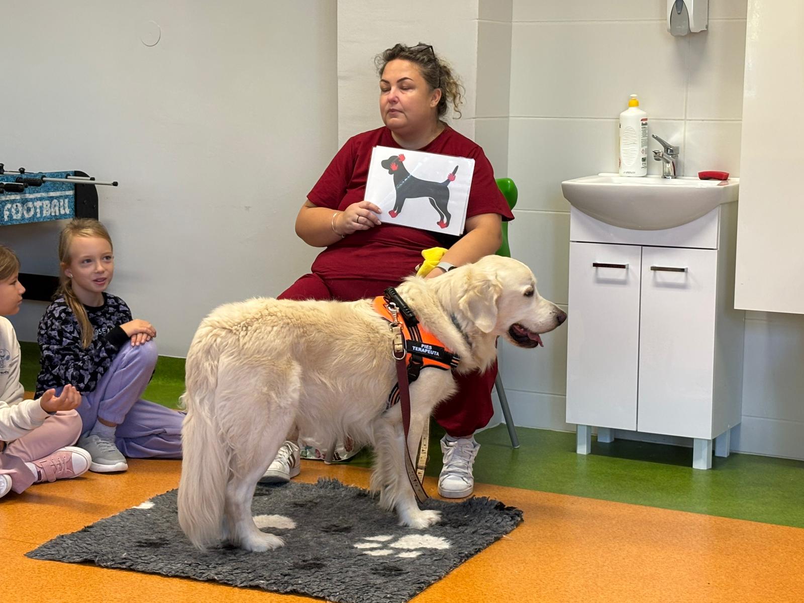 Zajęcia dogoterapii w klasach pierwszych.
