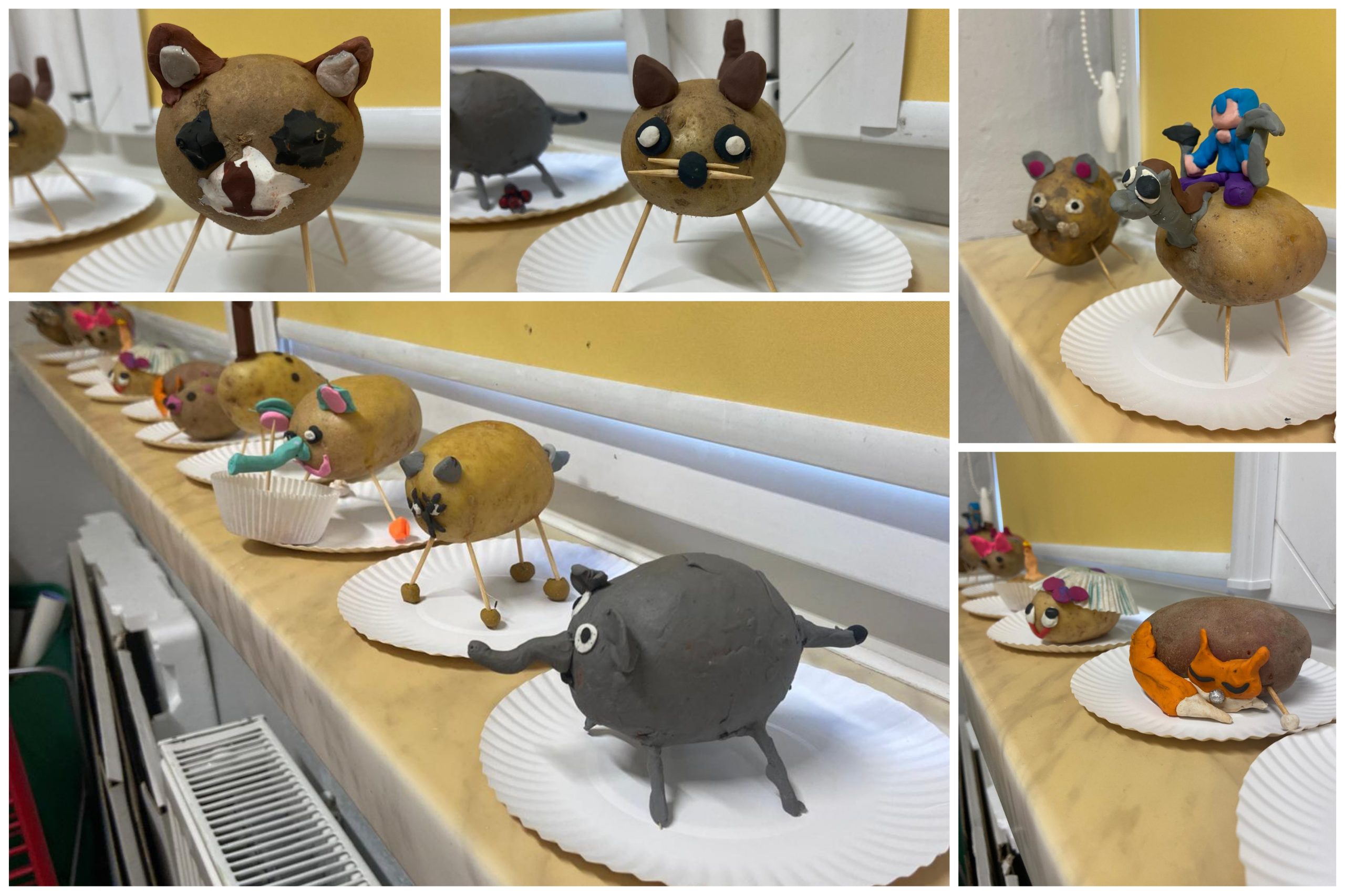 Dzień Ziemniaka w klasie 3B.