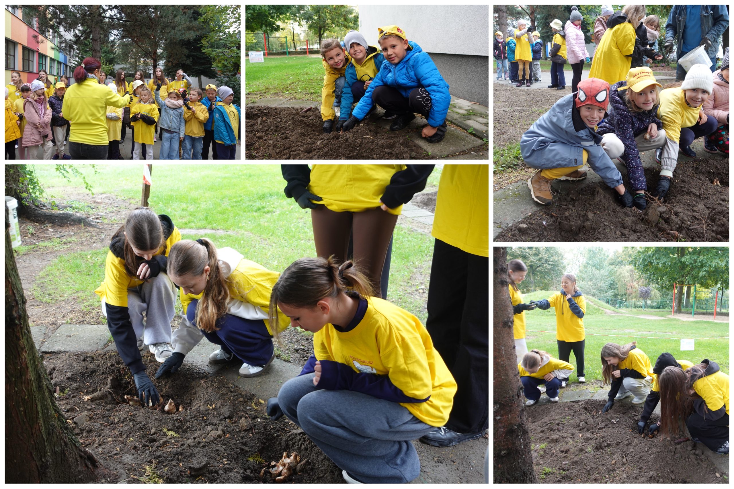 Akcja „Pola Nadziei” w SP17.