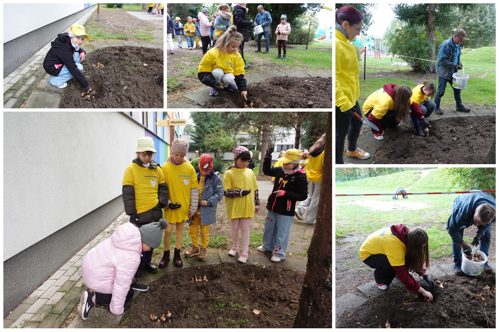 Akcja „Pola Nadziei” w SP17.