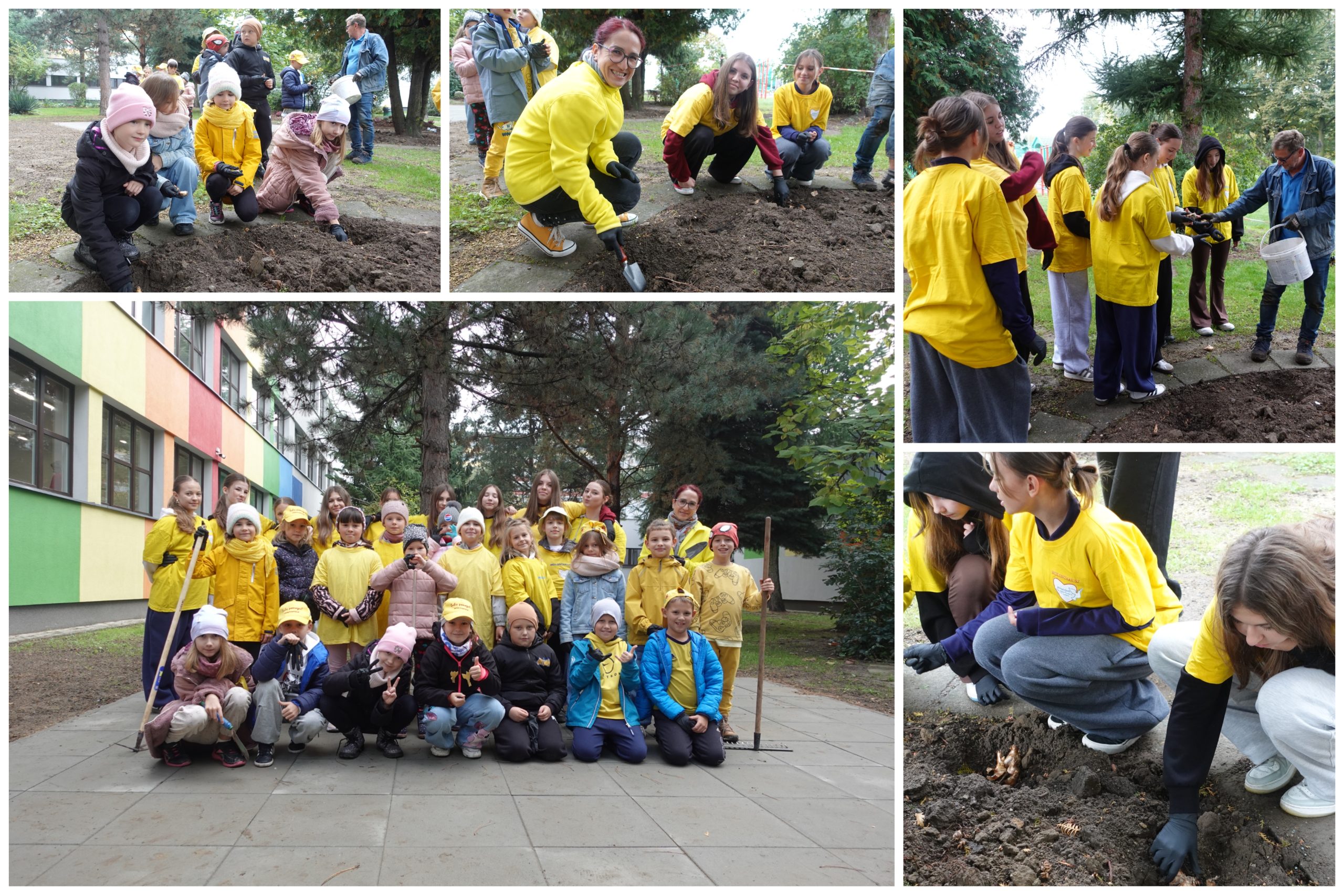 Akcja „Pola Nadziei” w SP17.