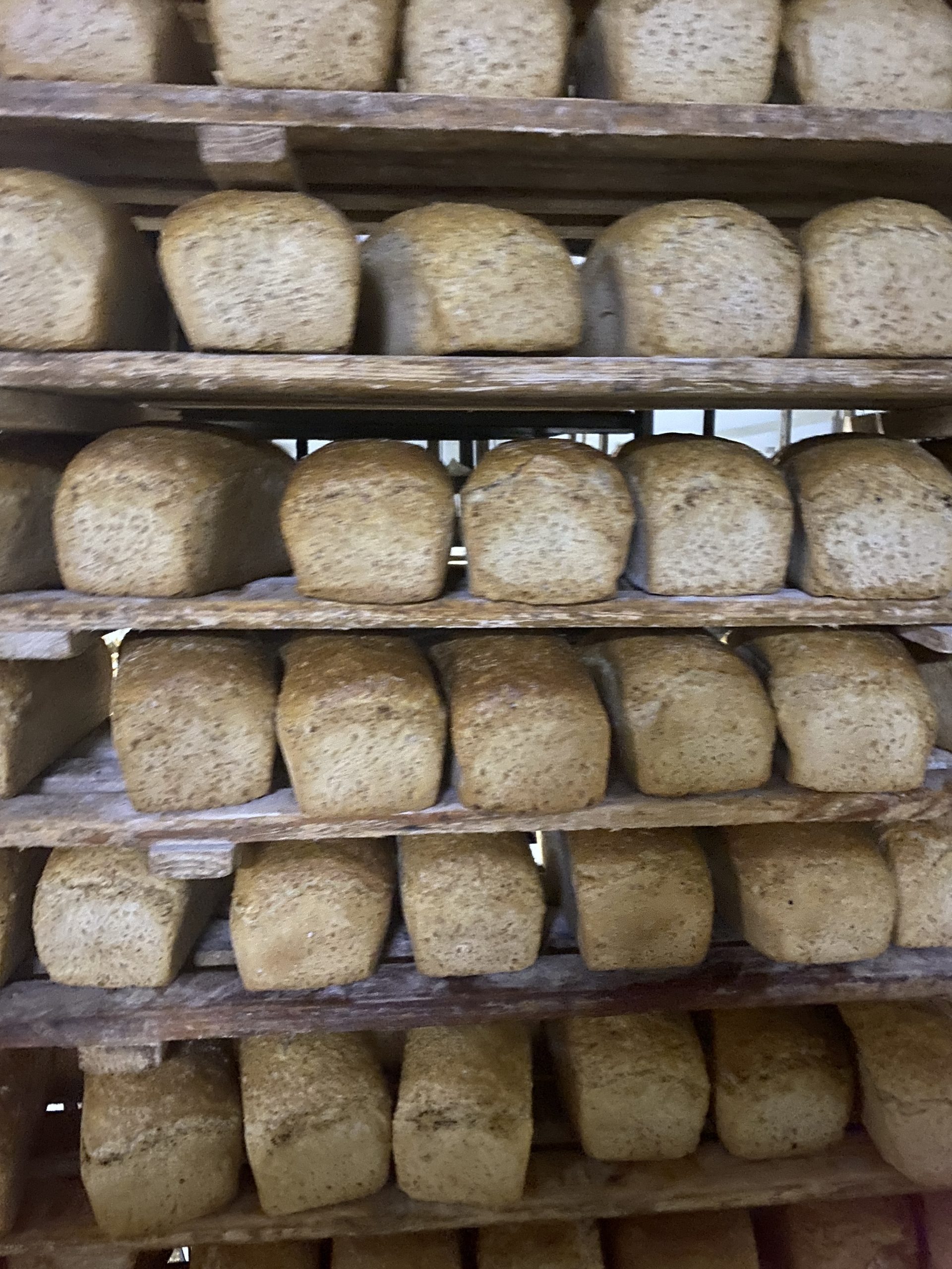 Wycieczka klasy 1a do piekarni "Kristof"