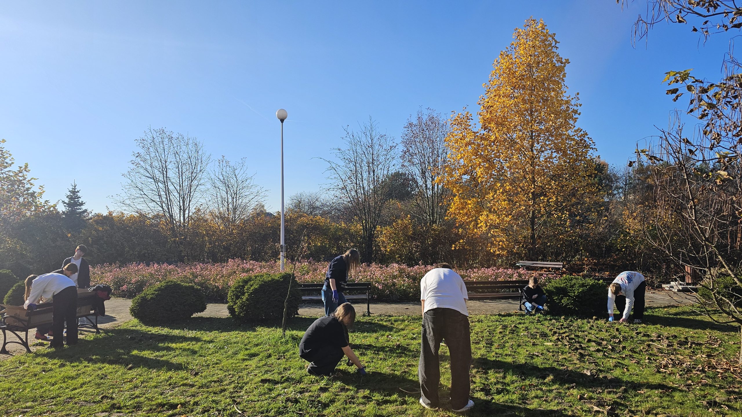 Wolontariusze z klas 8 w akcji! 