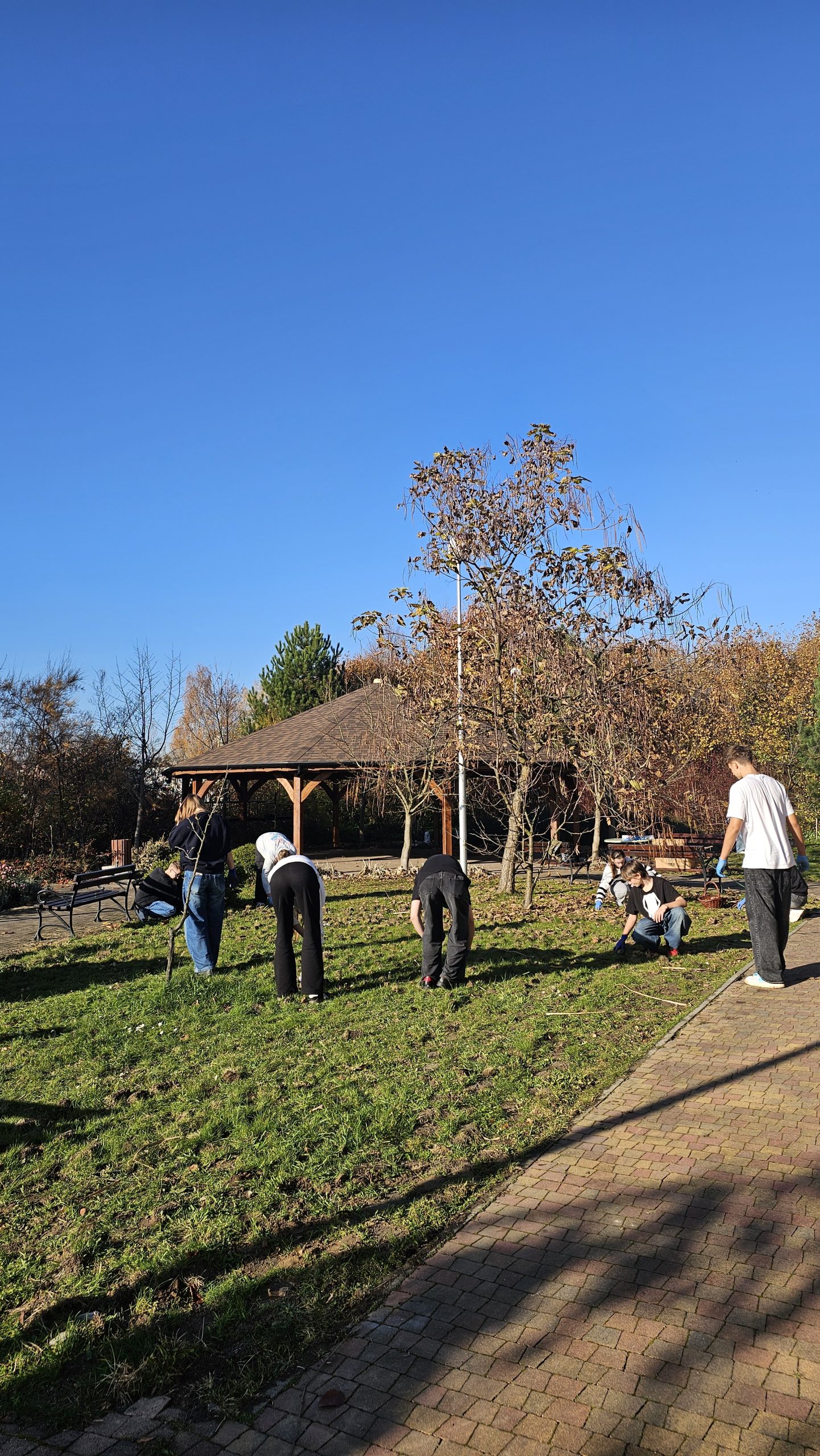 Wolontariusze z klas 8 w akcji! 