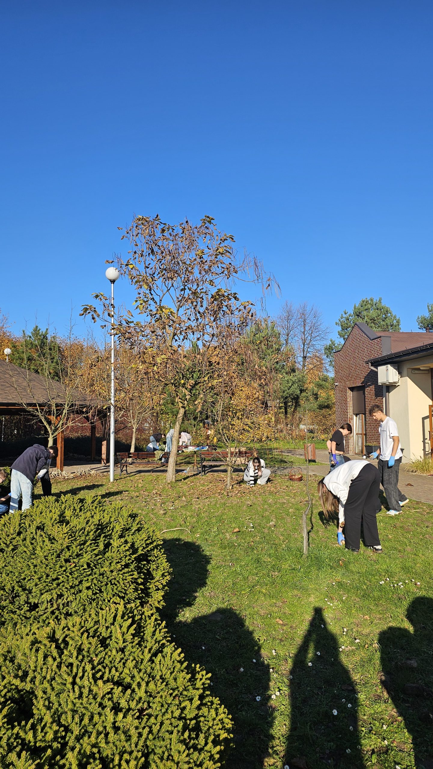 Wolontariusze z klas 8 w akcji! 