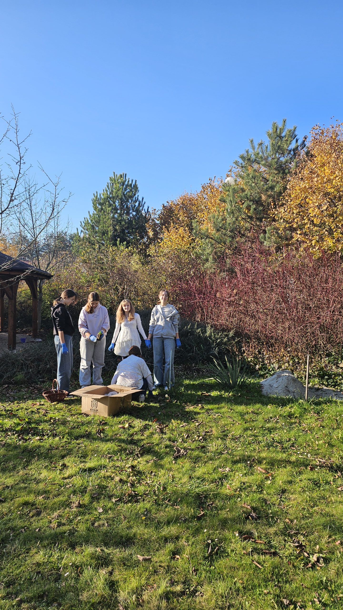 Wolontariusze z klas 8 w akcji! 