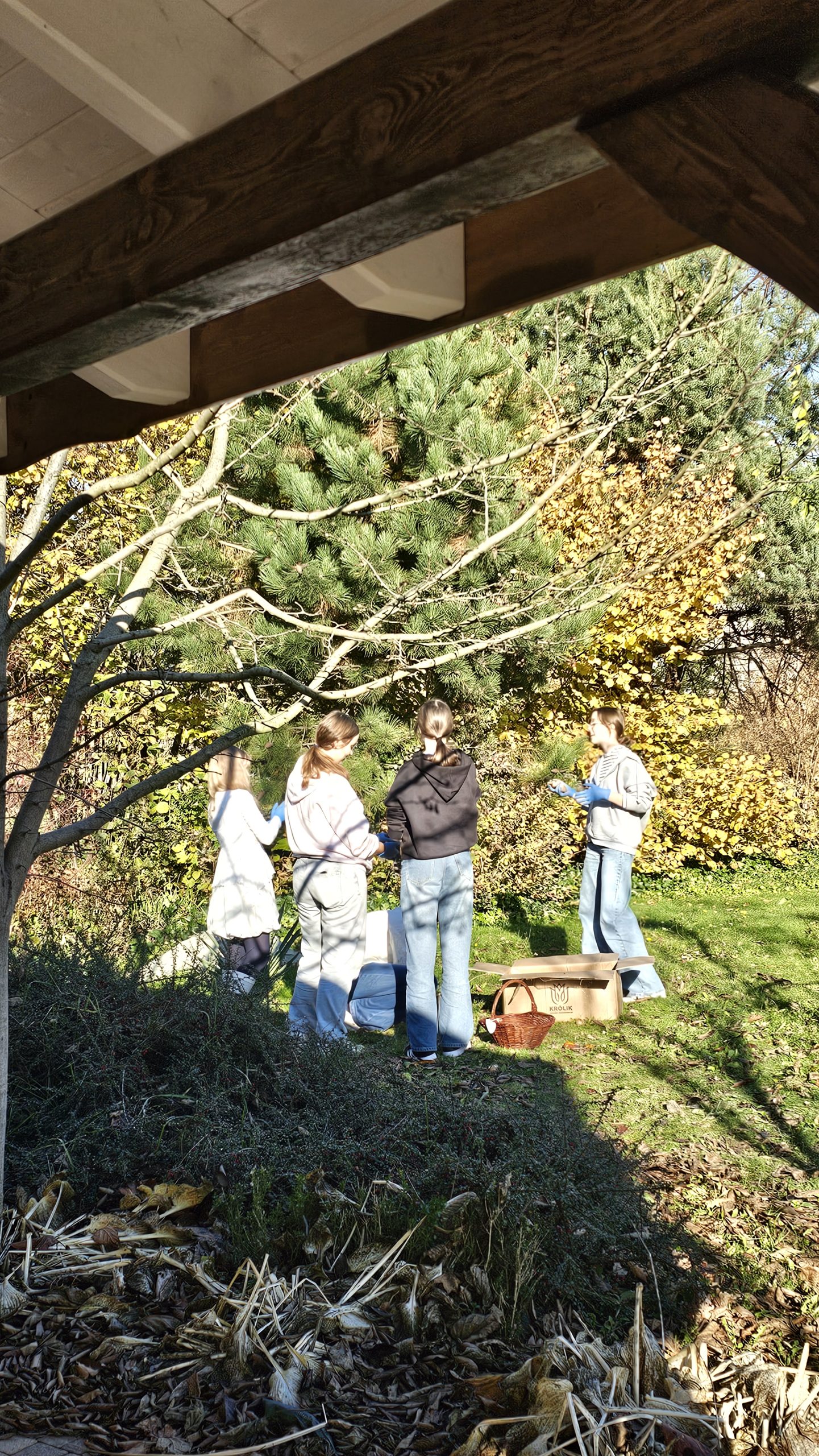 Wolontariusze z klas 8 w akcji! 