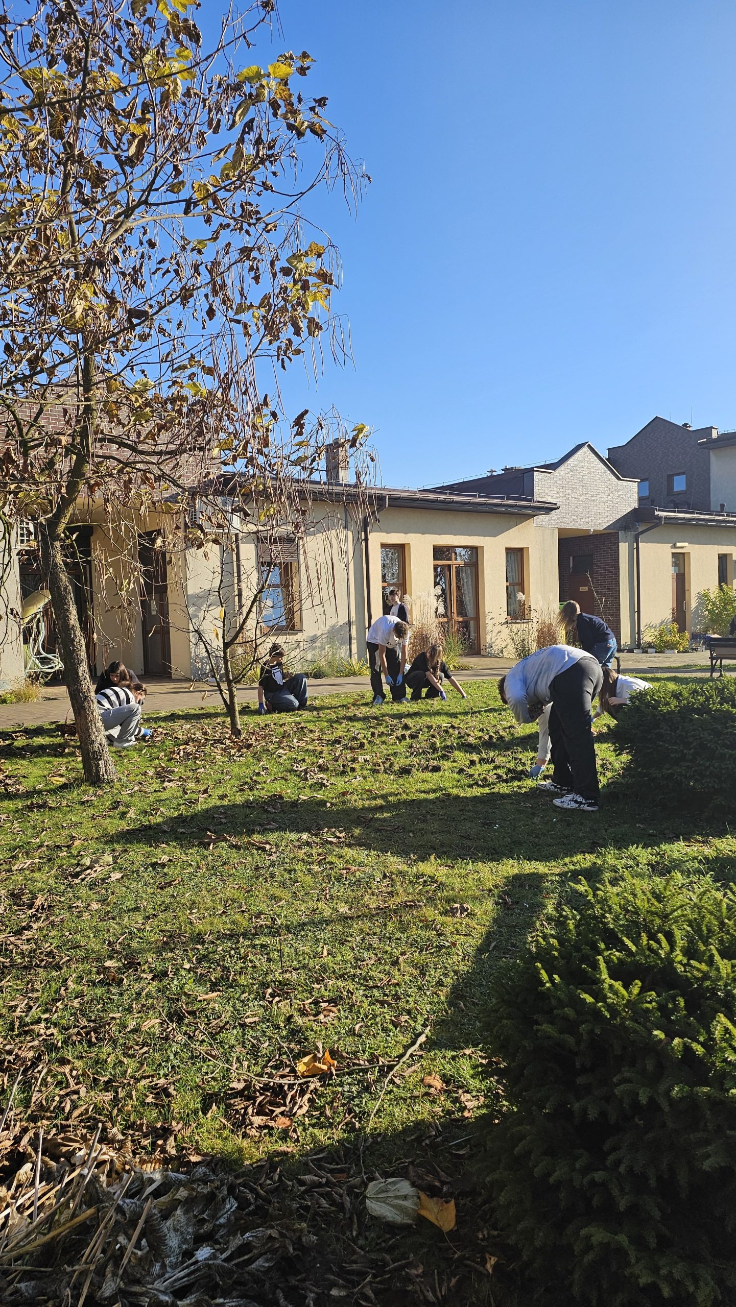 Wolontariusze z klas 8 w akcji! 