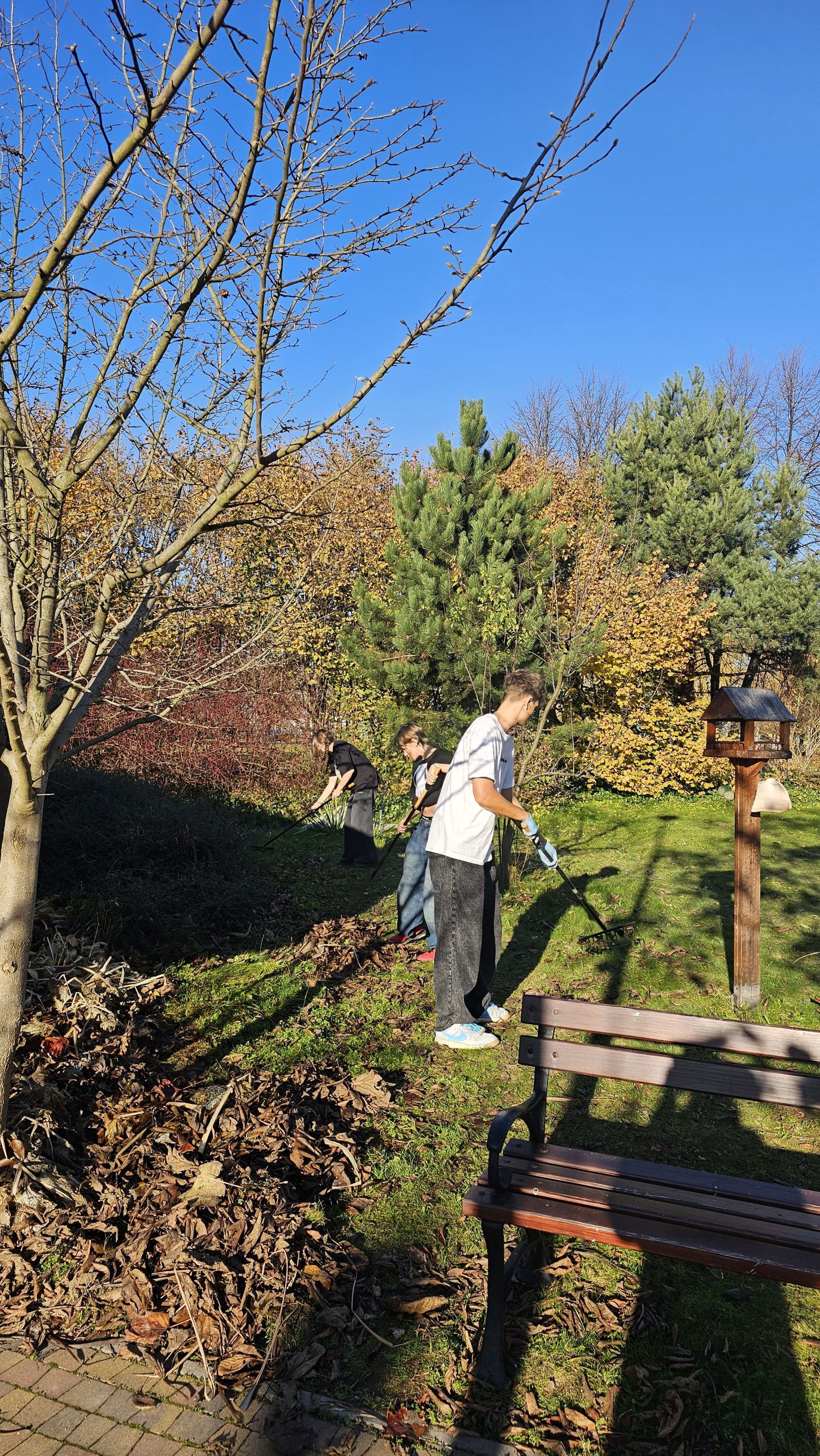 Wolontariusze z klas 8 w akcji! 