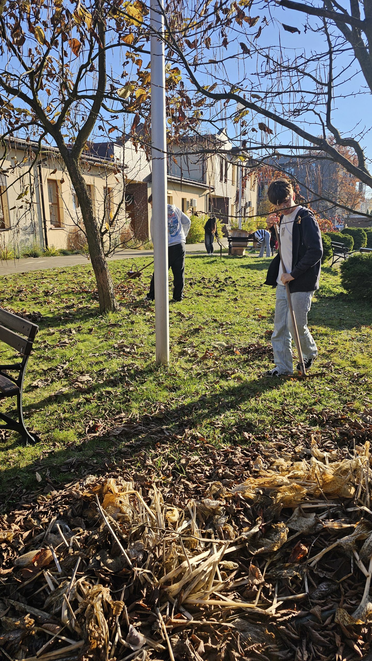 Wolontariusze z klas 8 w akcji! 