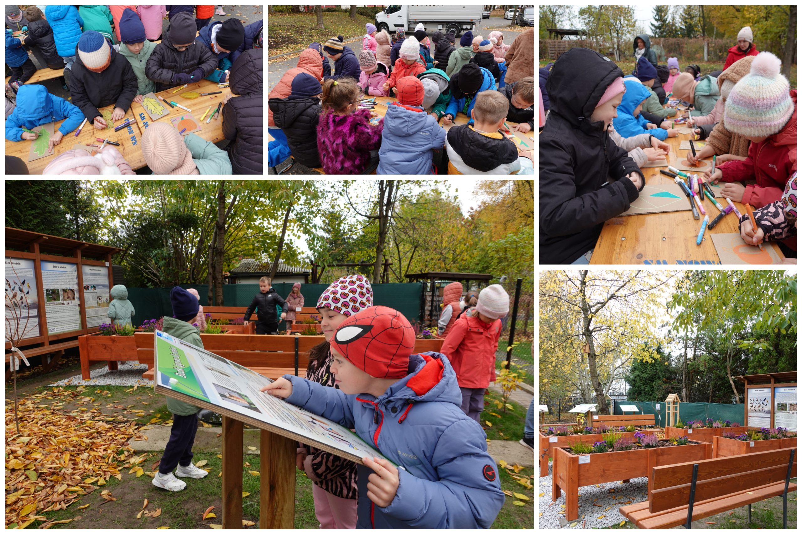 Wizyta w ogrodzie społecznym.