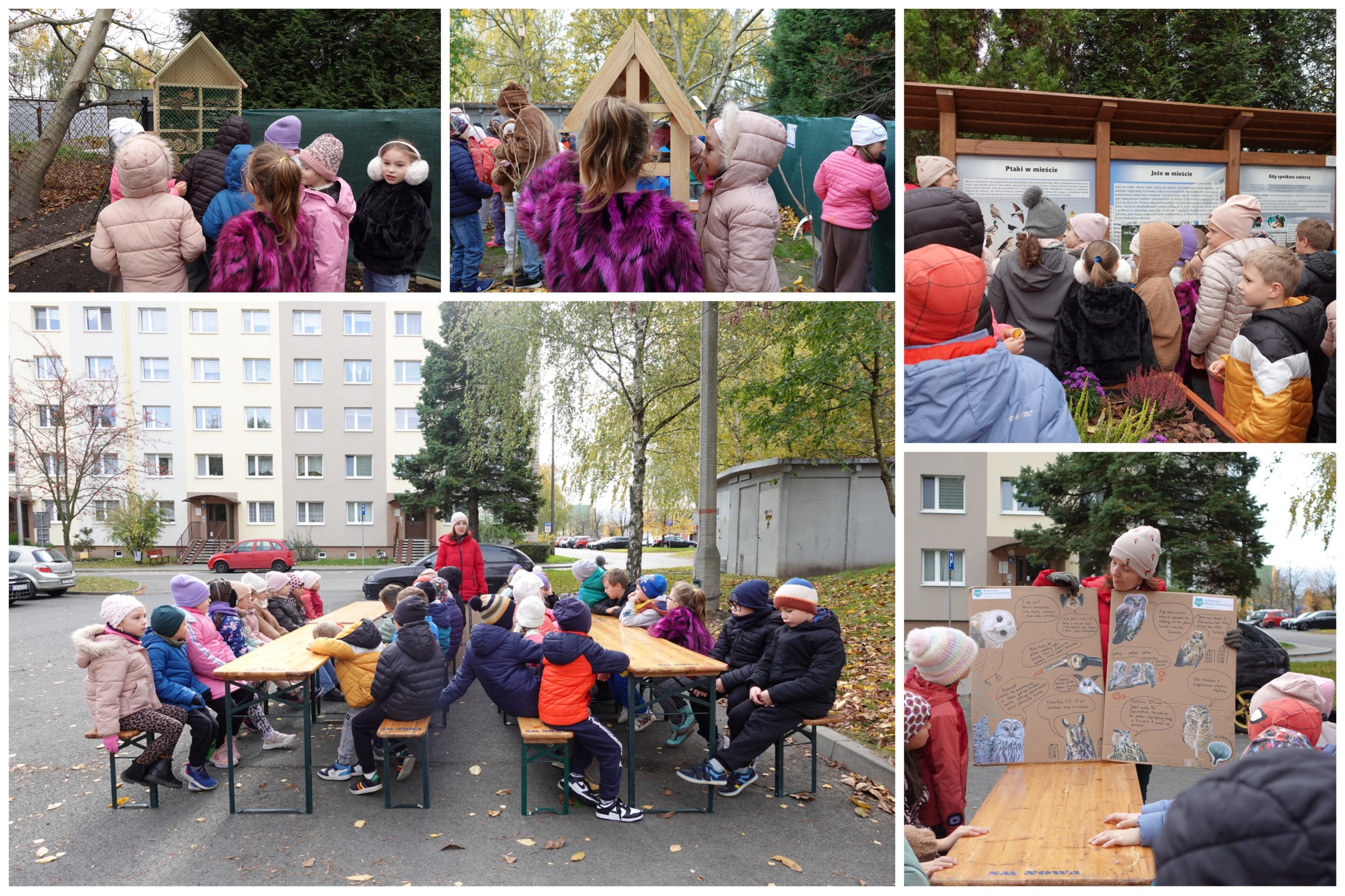 Wizyta w ogrodzie społecznym.