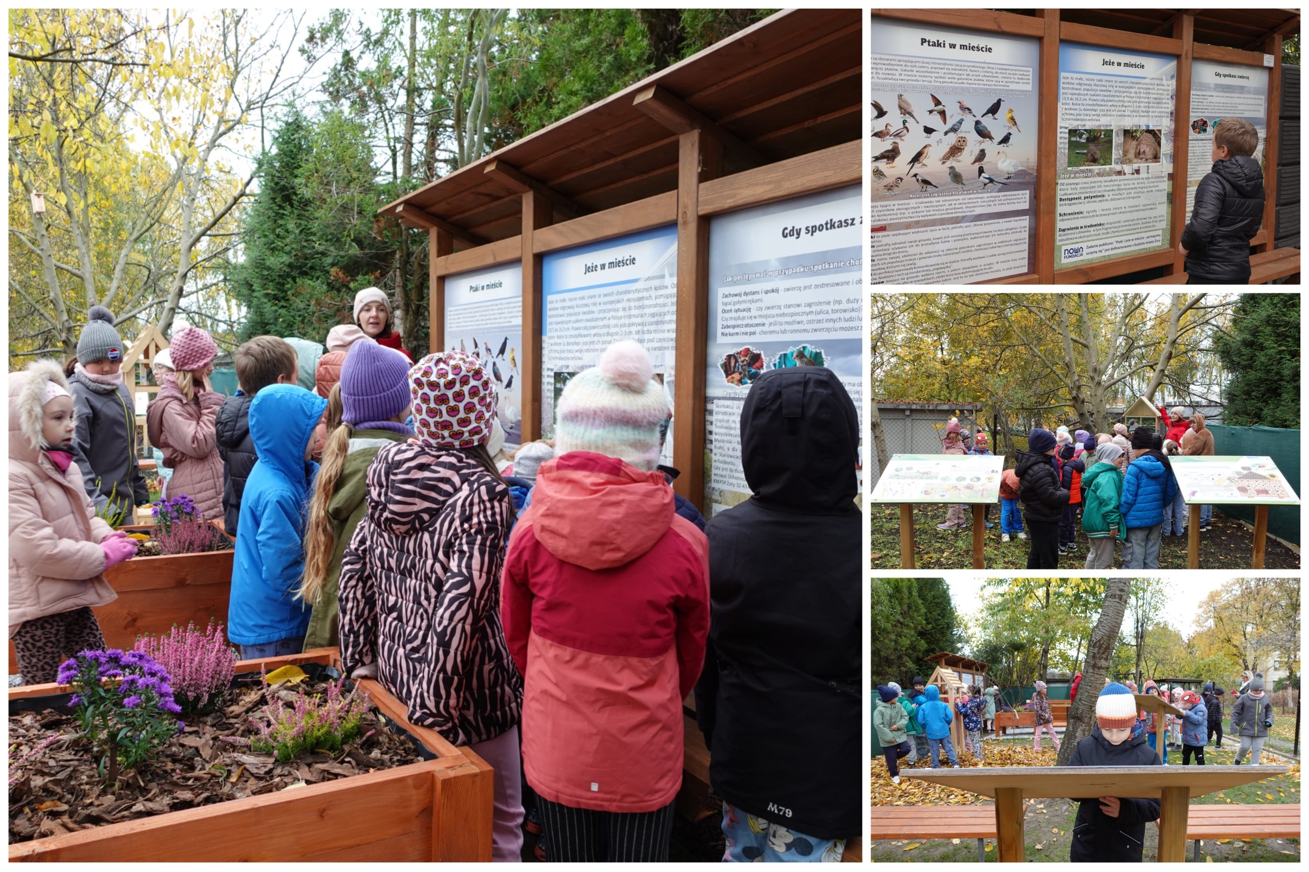 Wizyta w ogrodzie społecznym.