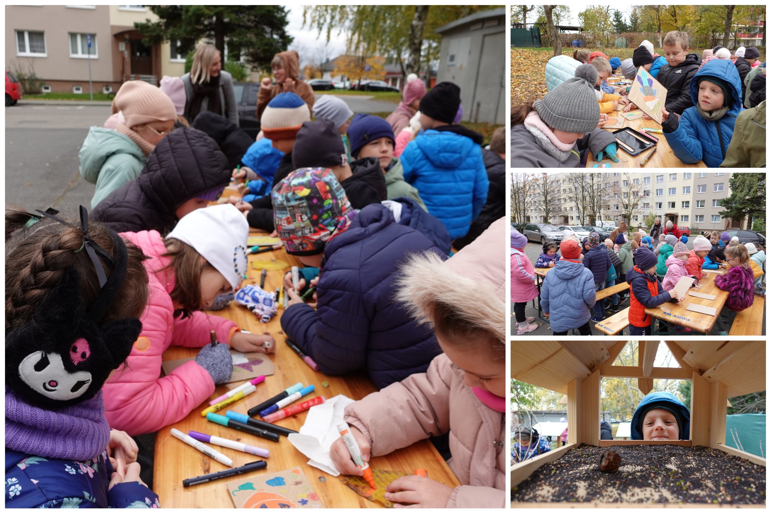 Wizyta w ogrodzie społecznym.