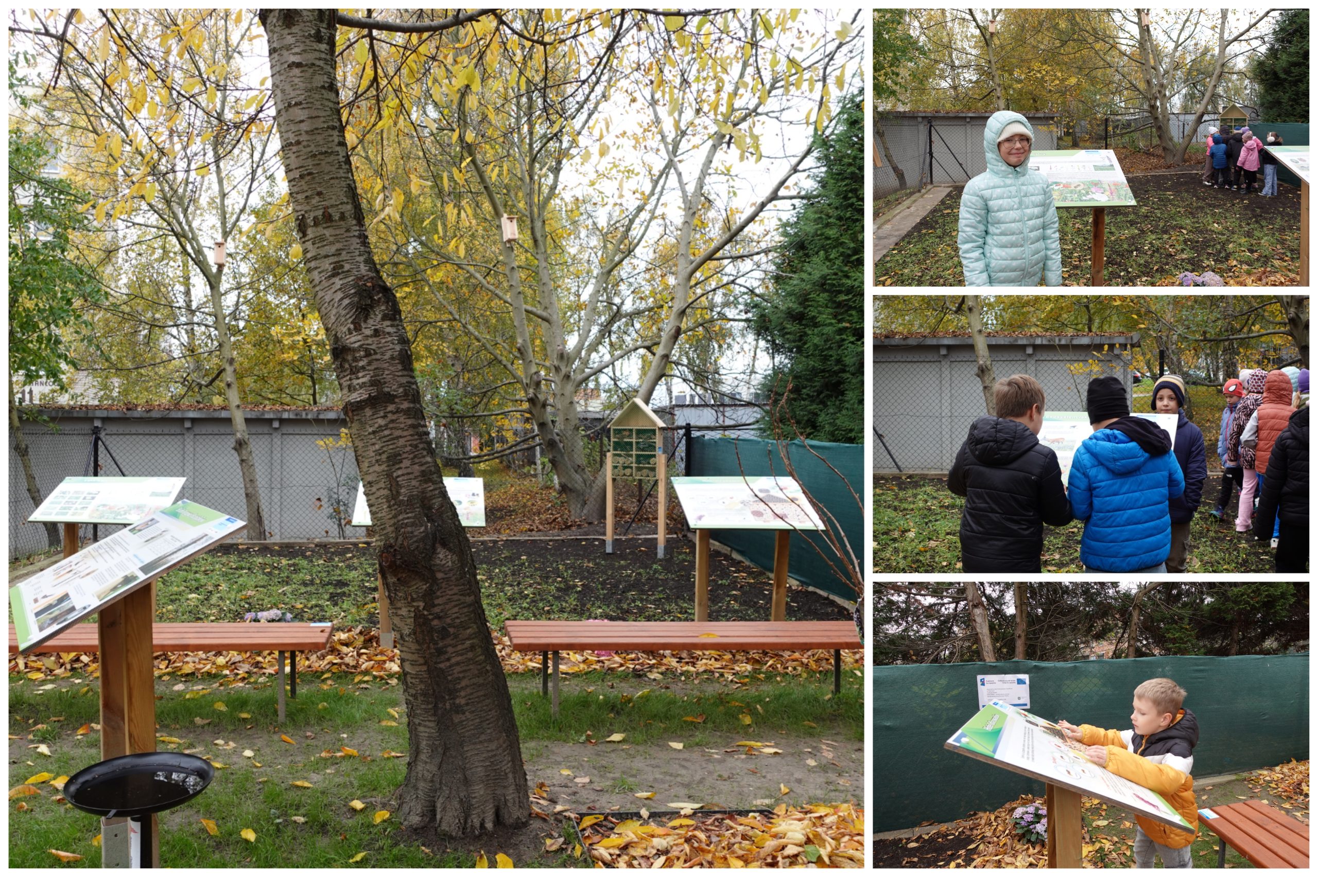 Wizyta w ogrodzie społecznym.