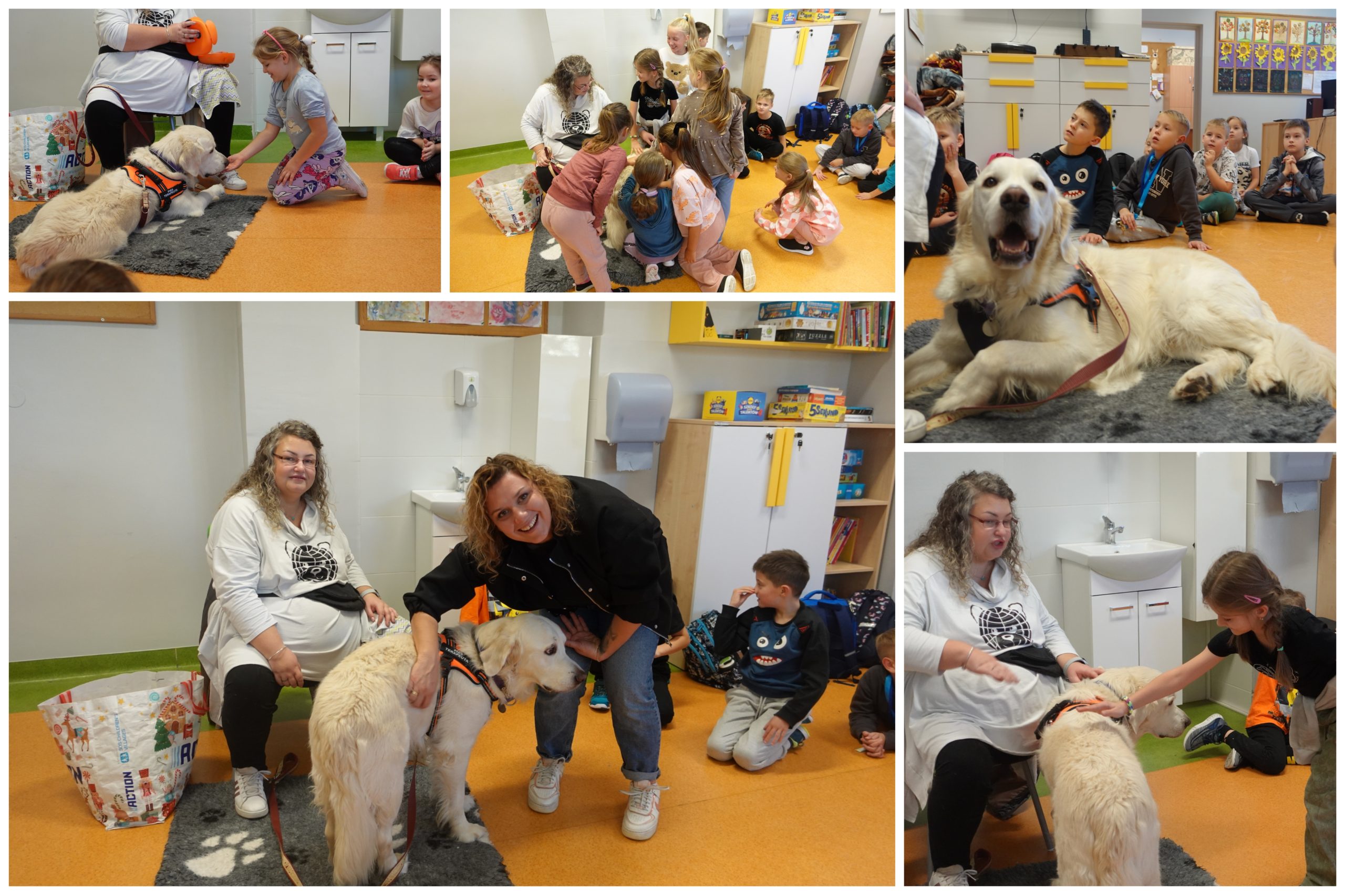 Wizyta psiego terapeuty.