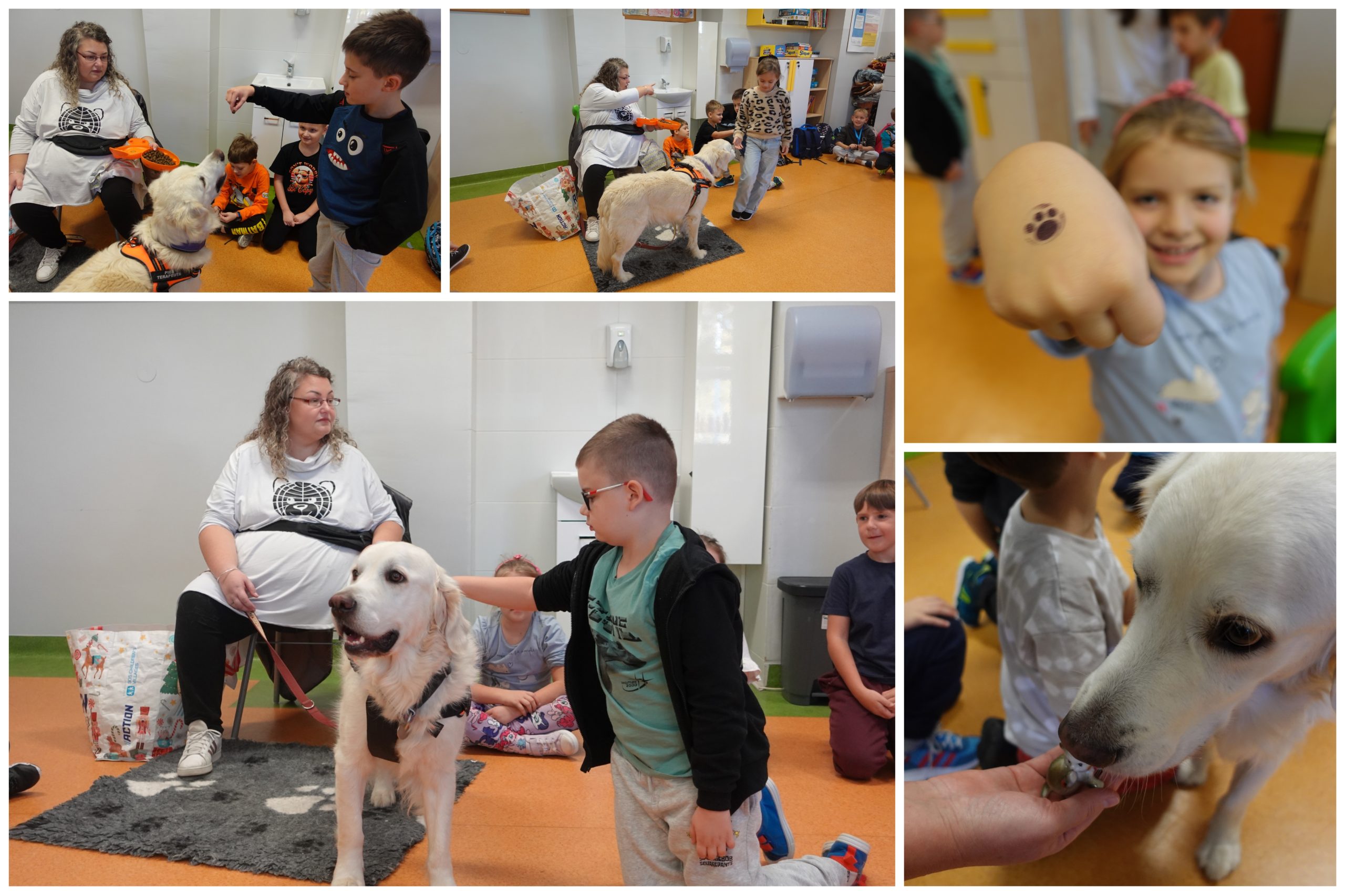 Wizyta psiego terapeuty.