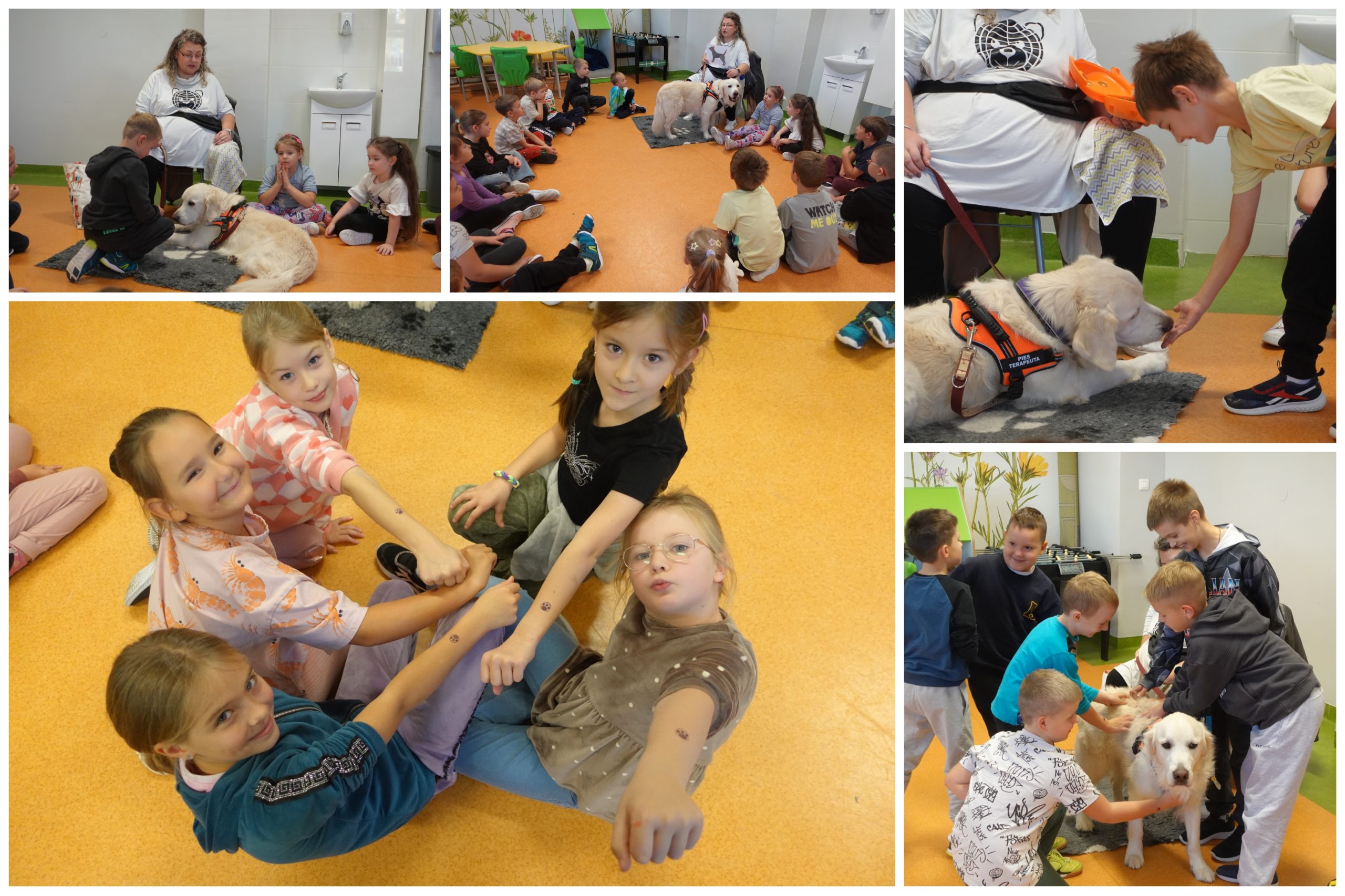 Wizyta psiego terapeuty.