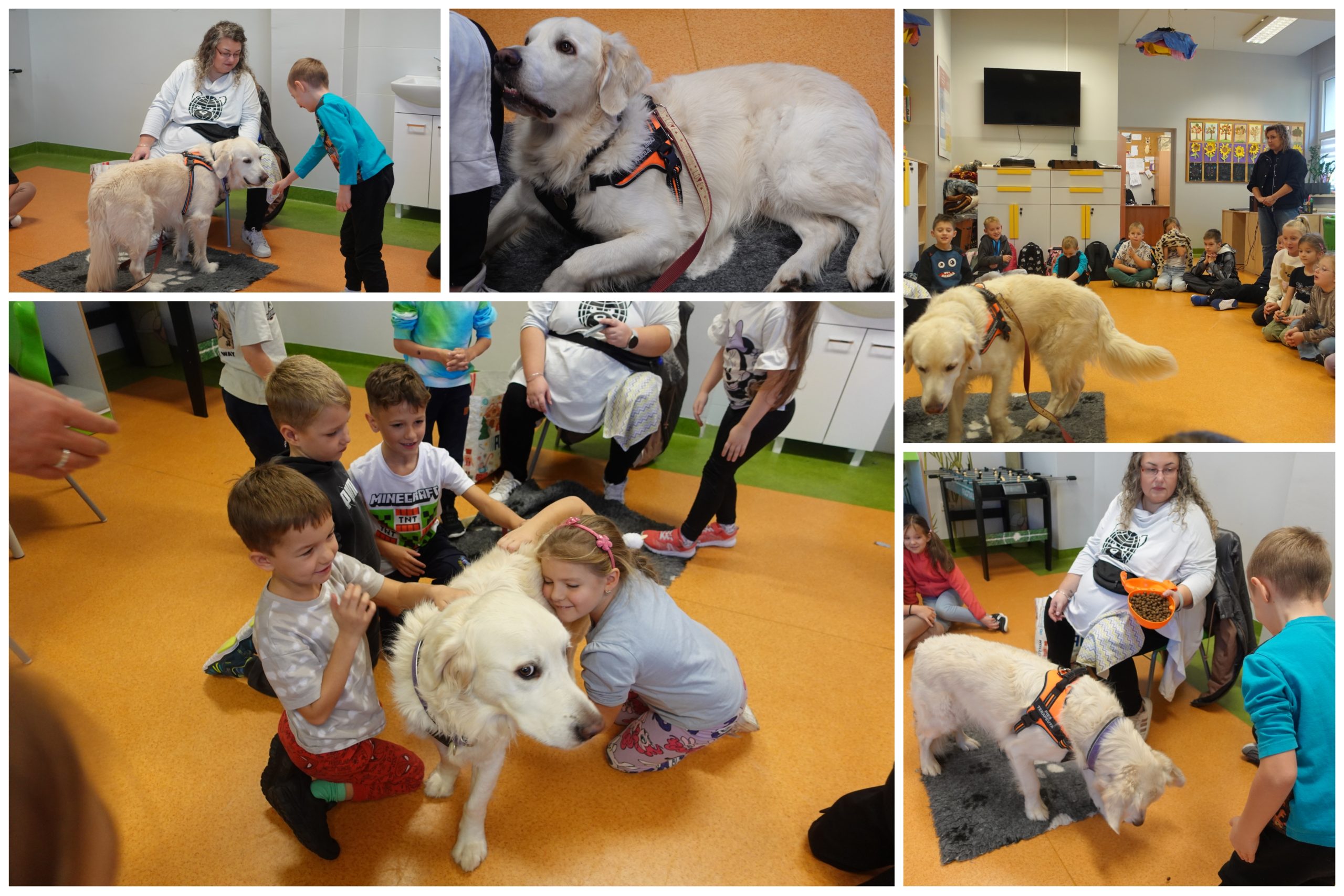 Wizyta psiego terapeuty.