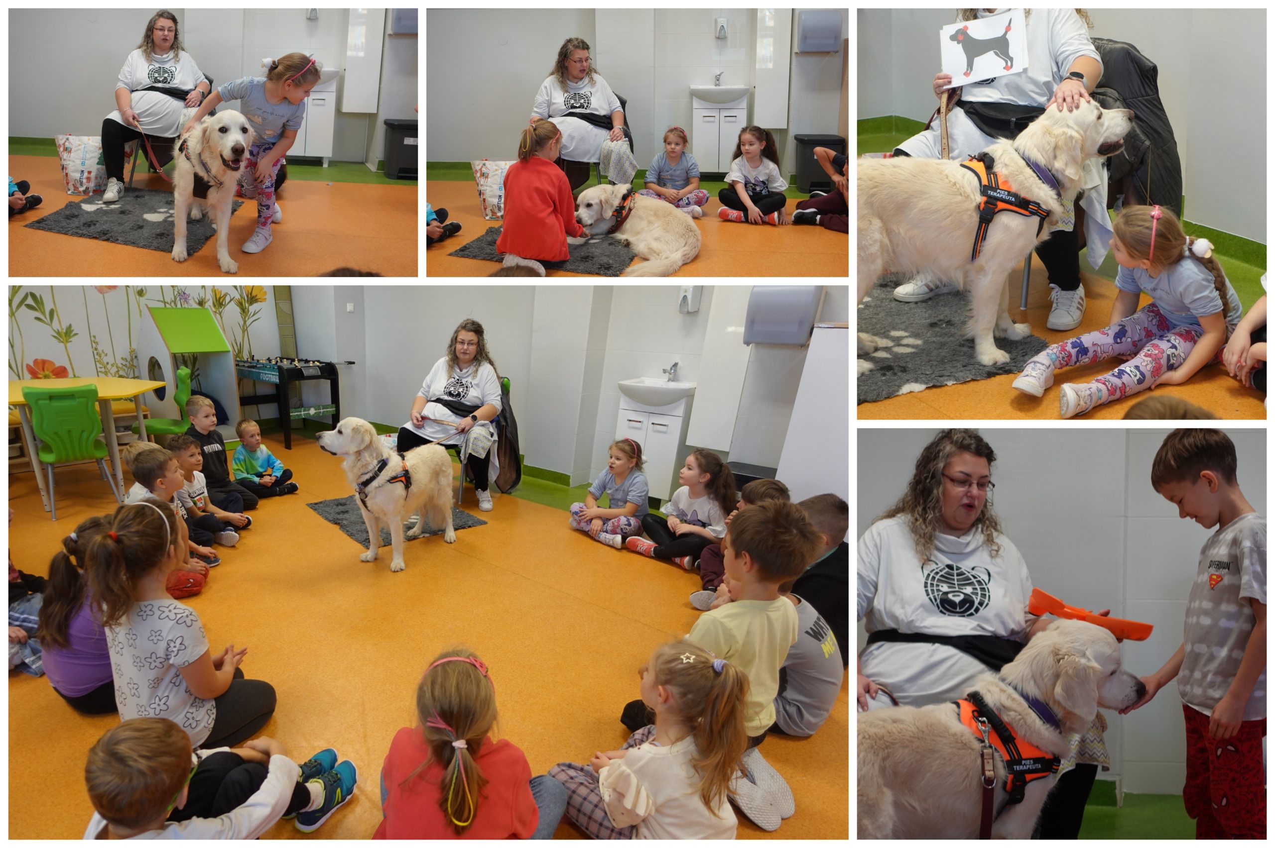 Wizyta psiego terapeuty.