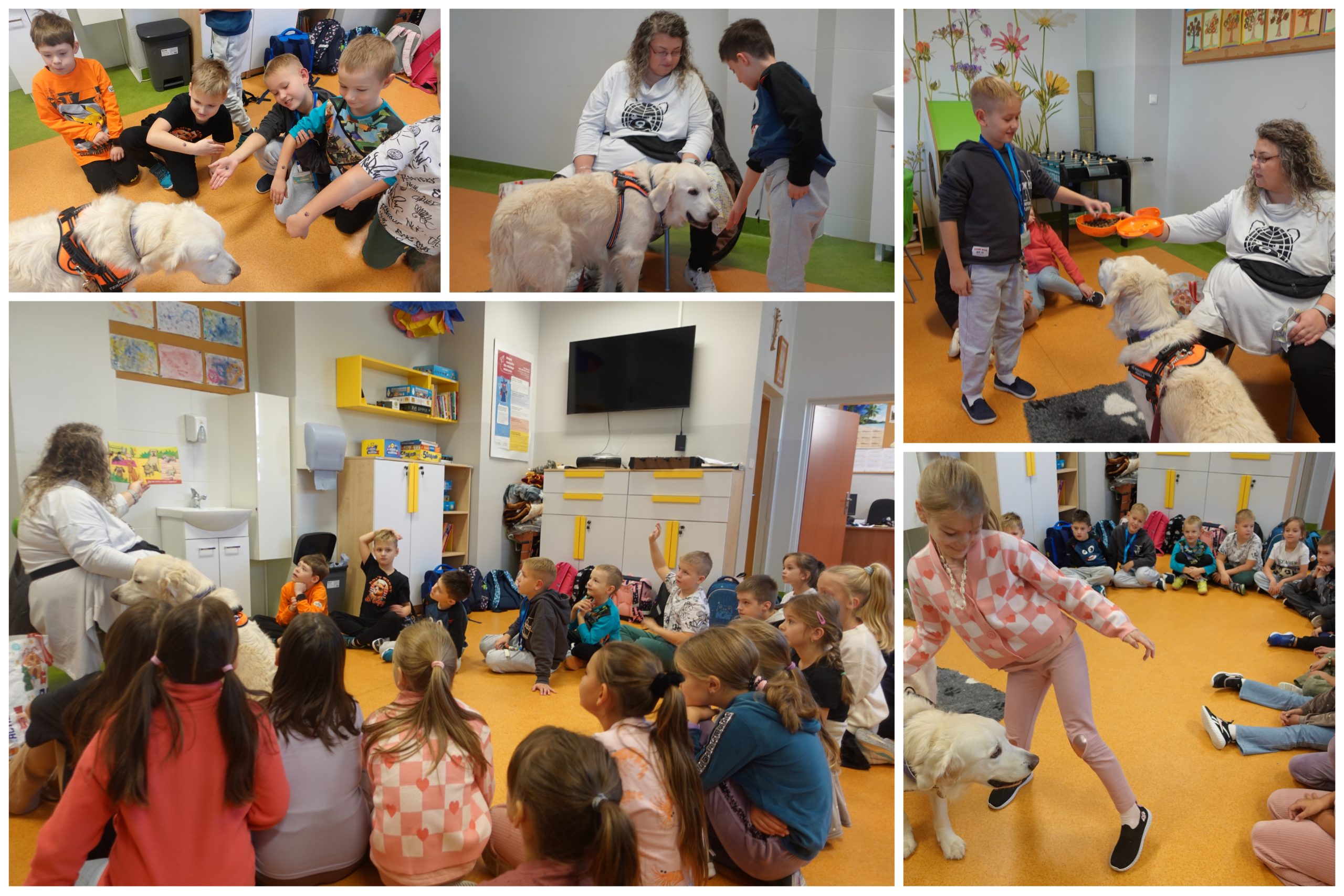 Wizyta psiego terapeuty.