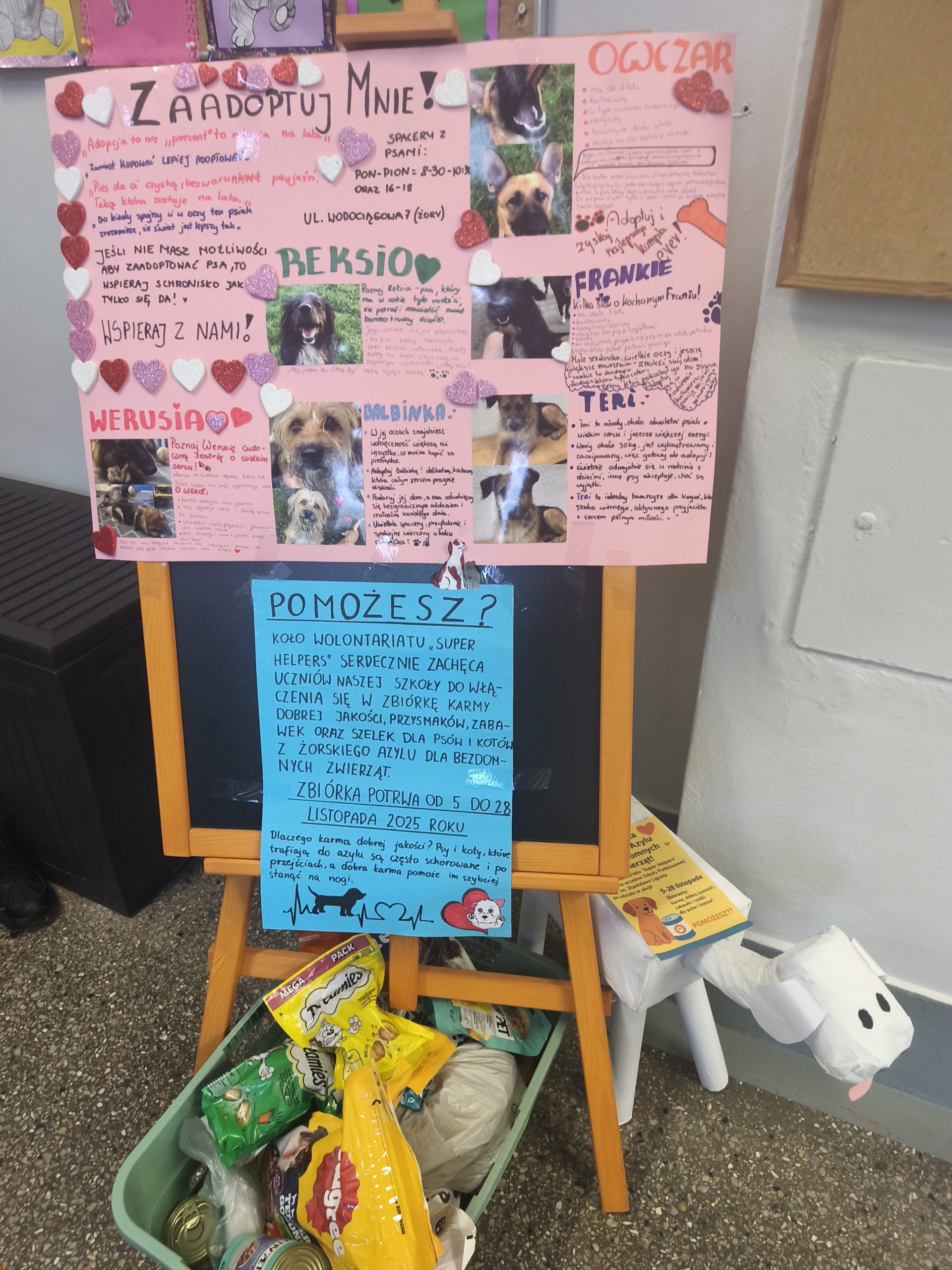 Zbiórka karmy dla Żorskiego Azylu – podsumowanie akcji