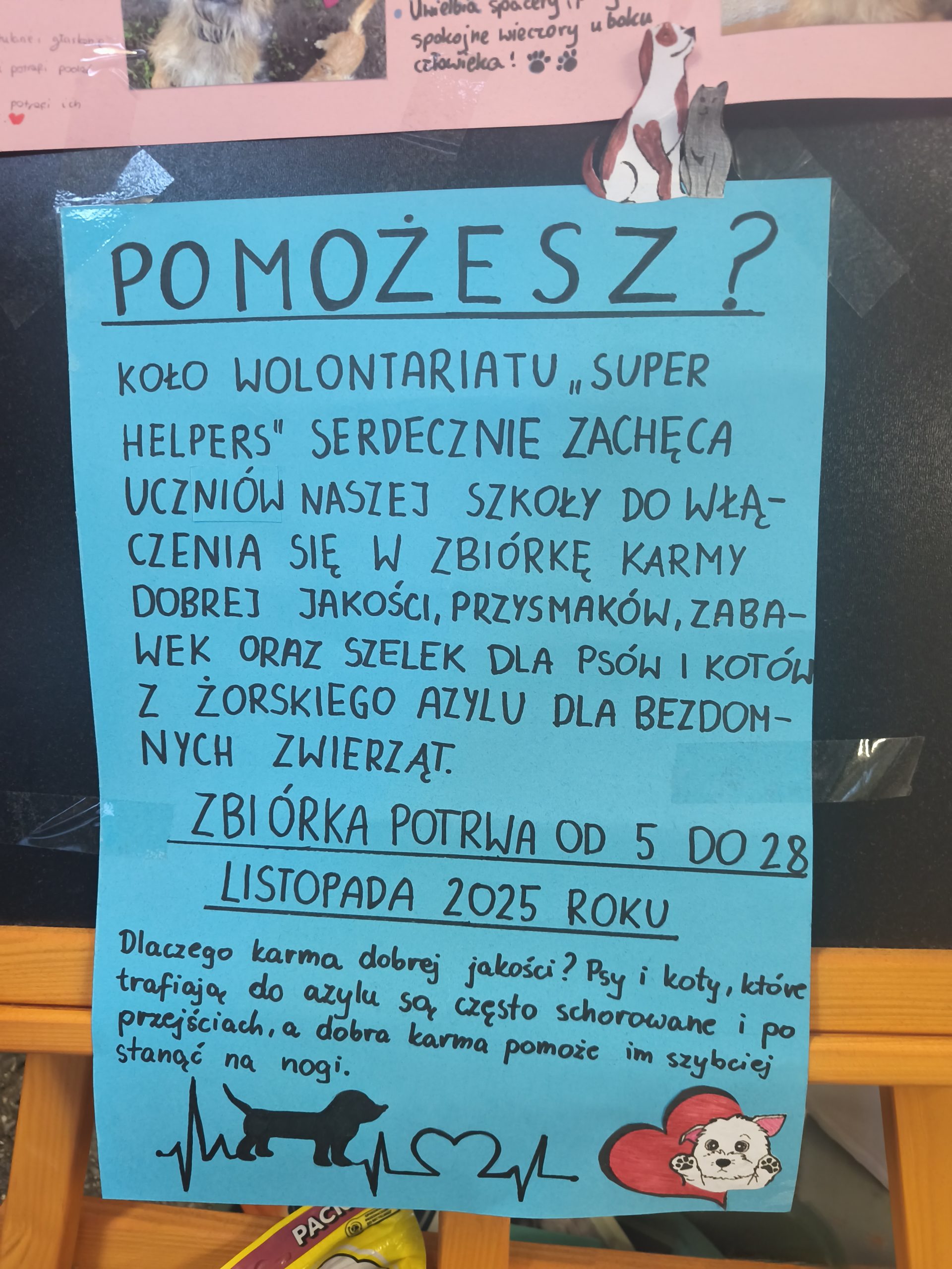 Zbiórka karmy dla Żorskiego Azylu – podsumowanie akcji