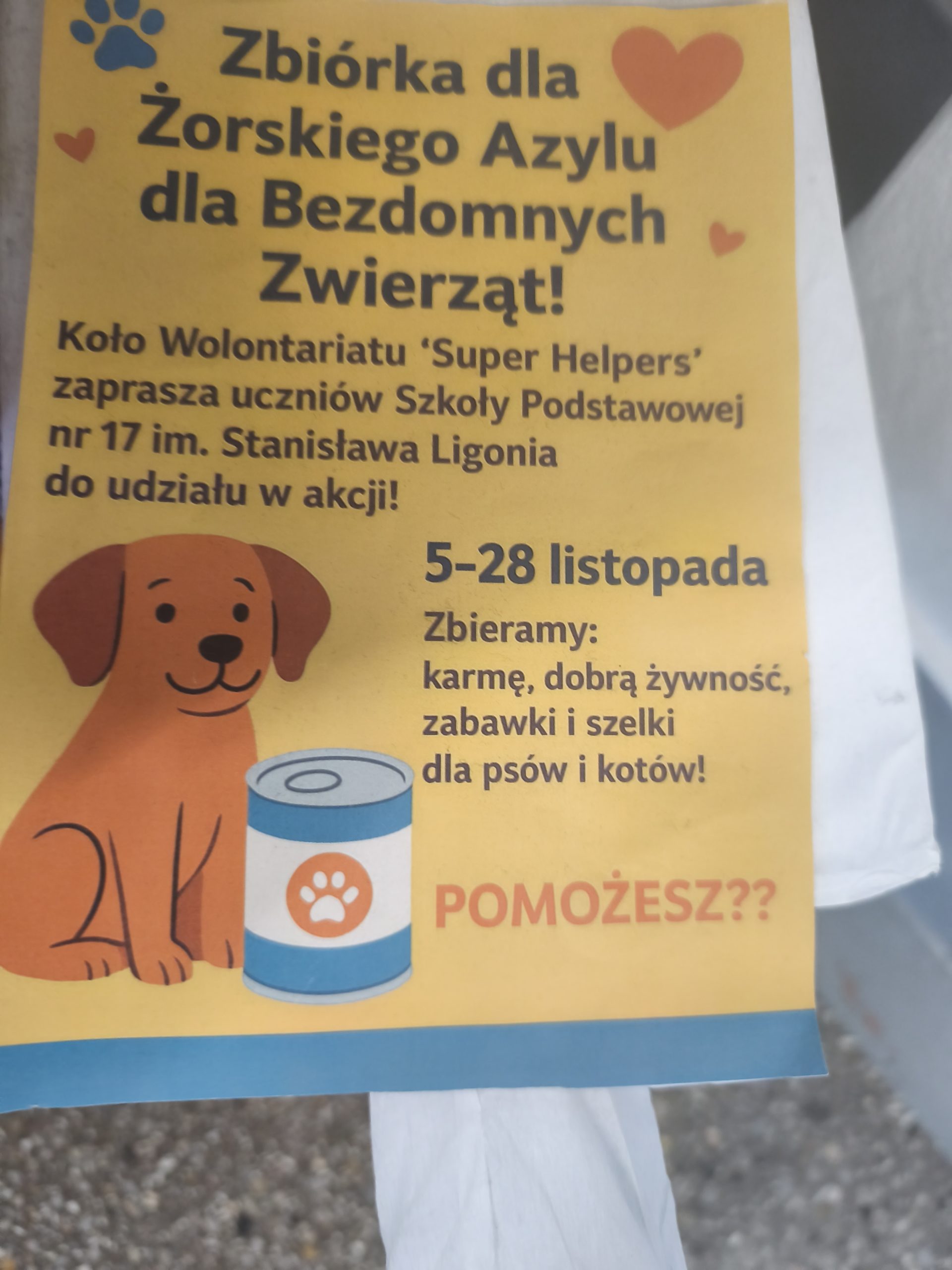 Zbiórka karmy dla Żorskiego Azylu – podsumowanie akcji