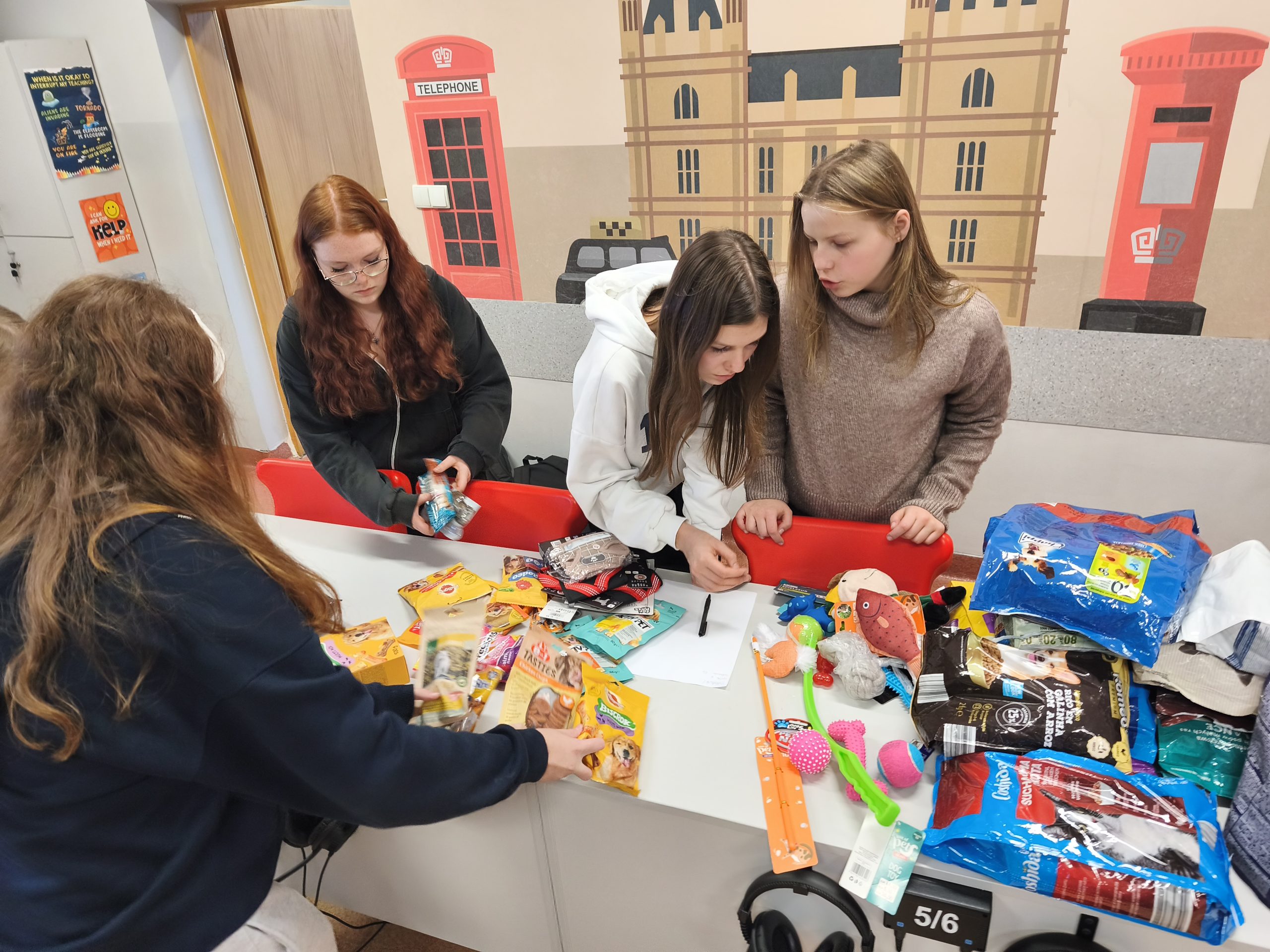 Zbiórka karmy dla Żorskiego Azylu – podsumowanie akcji