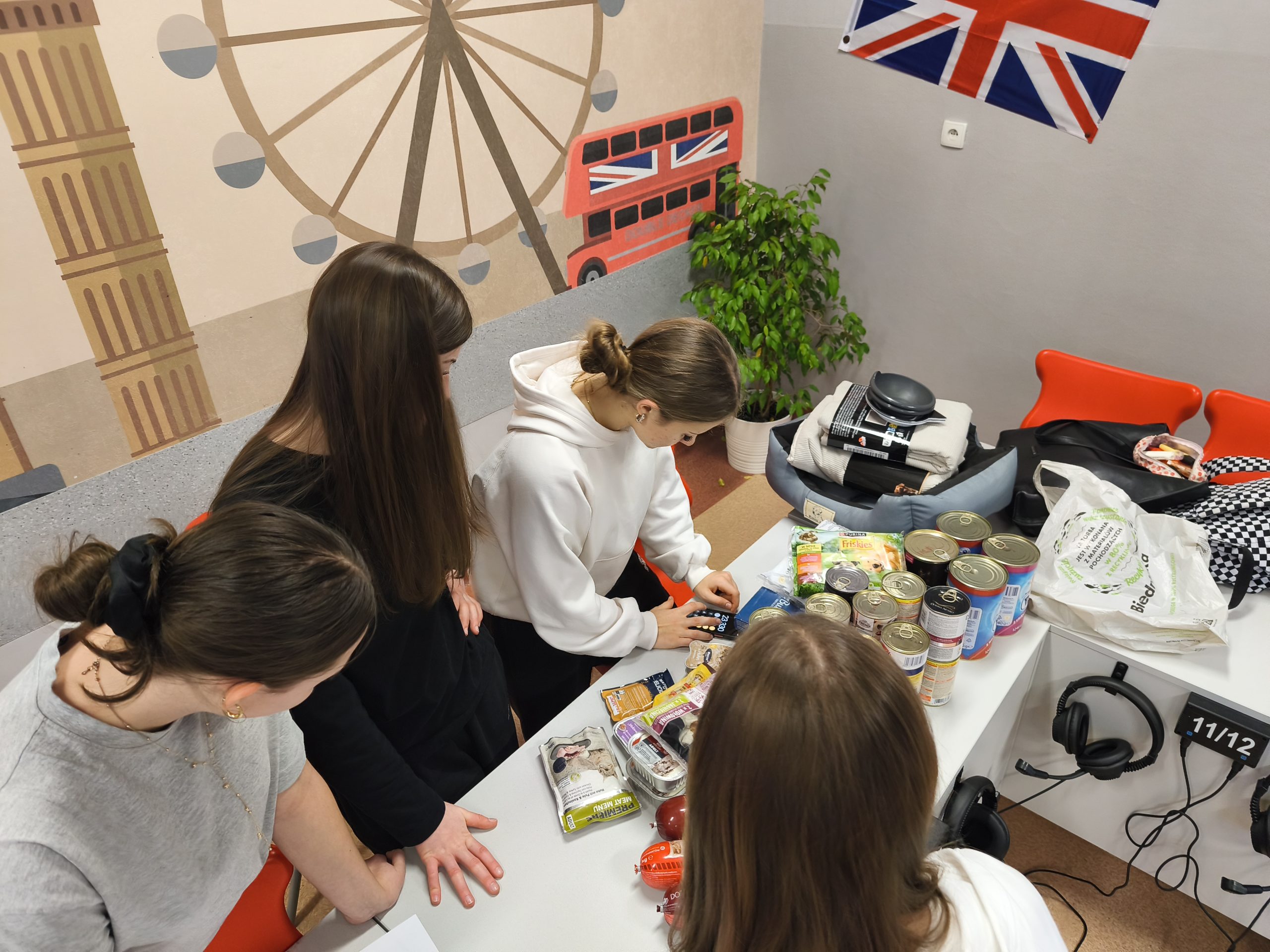 Zbiórka karmy dla Żorskiego Azylu – podsumowanie akcji