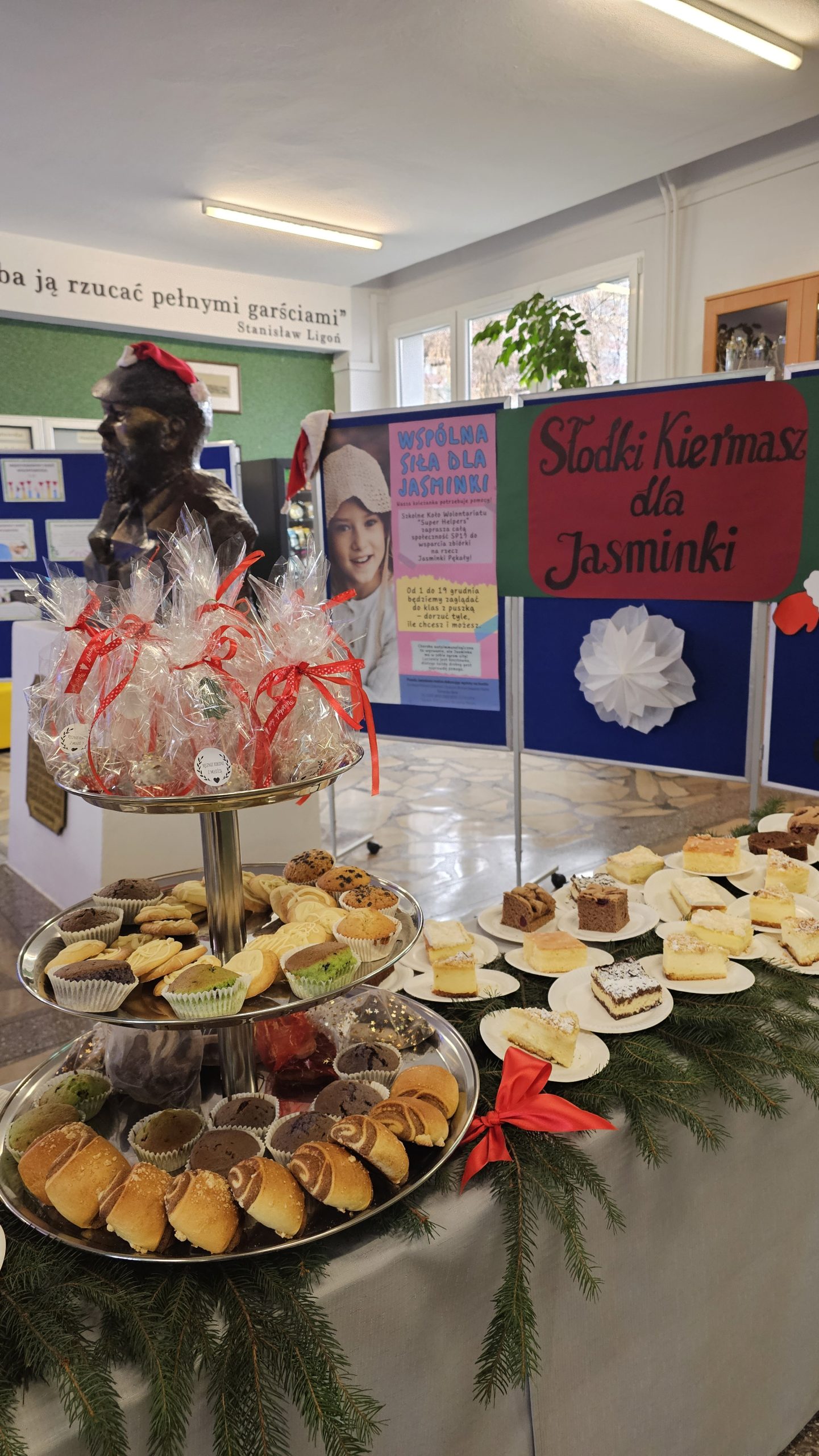 Wsparcie dla Jasminki