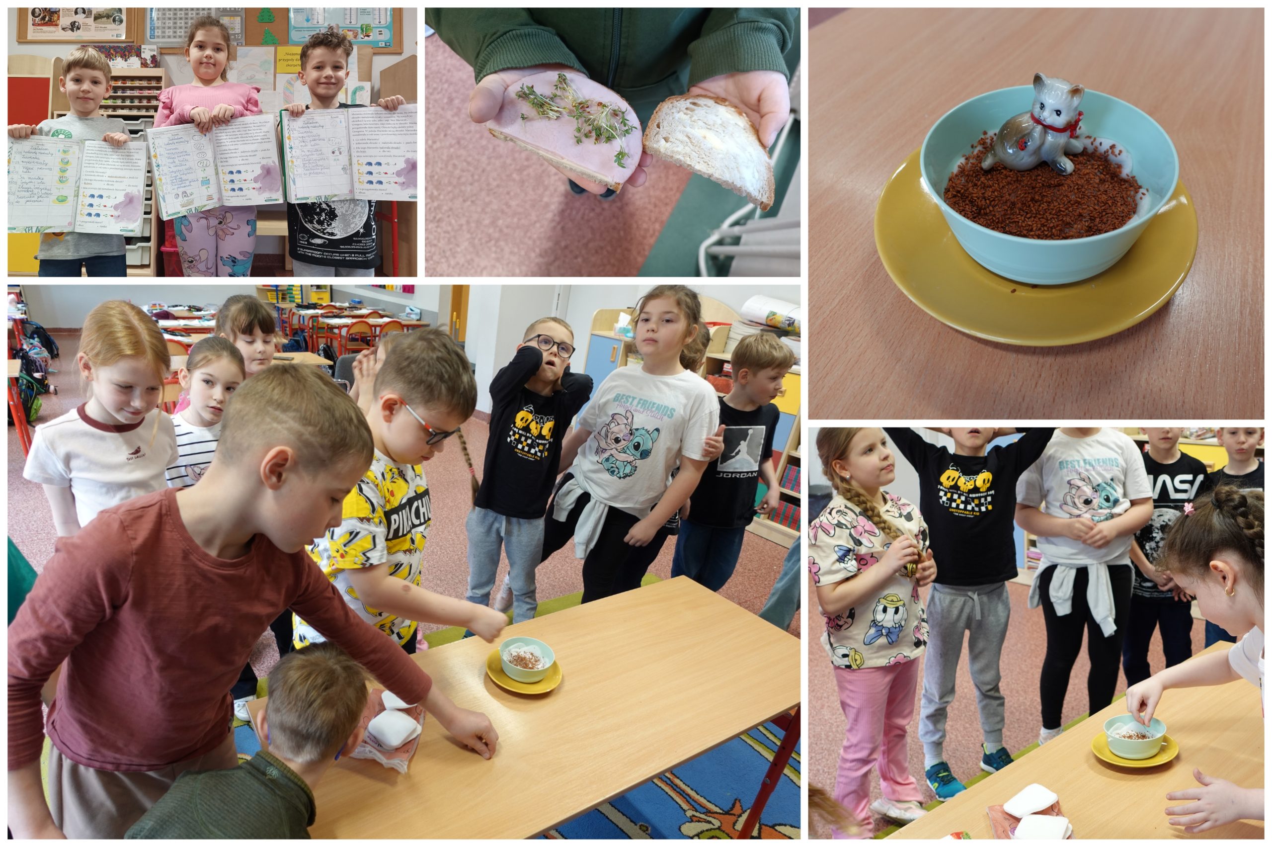 Klasa 1C i uprawa rzeżuchy.