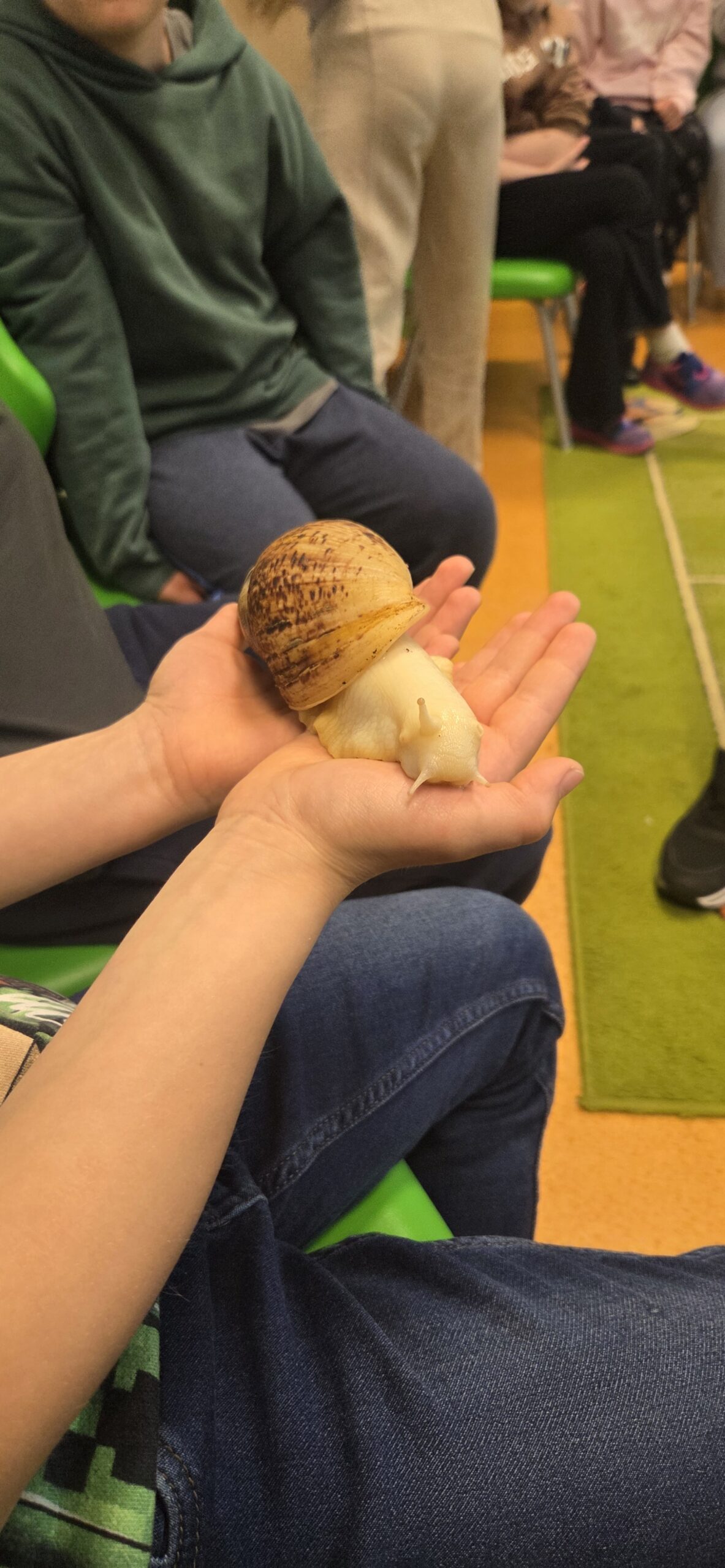 Ślimacze Tempo, Wielkie Emocje! 🐌