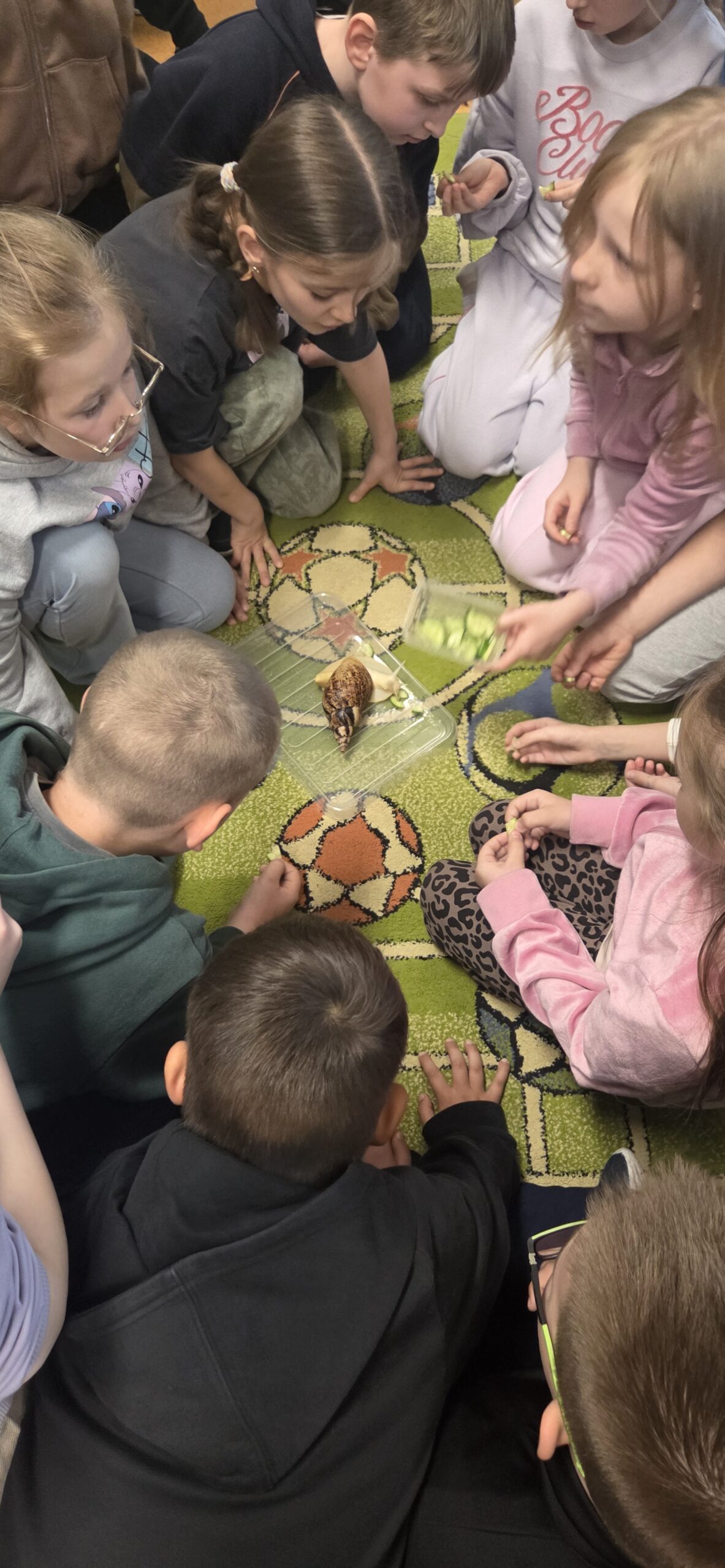 Ślimacze Tempo, Wielkie Emocje! 🐌