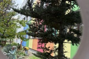 Święto Drzewa w SP17 🌳