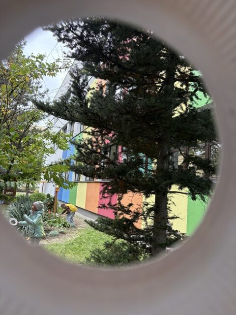 Święto Drzewa w SP17 🌳